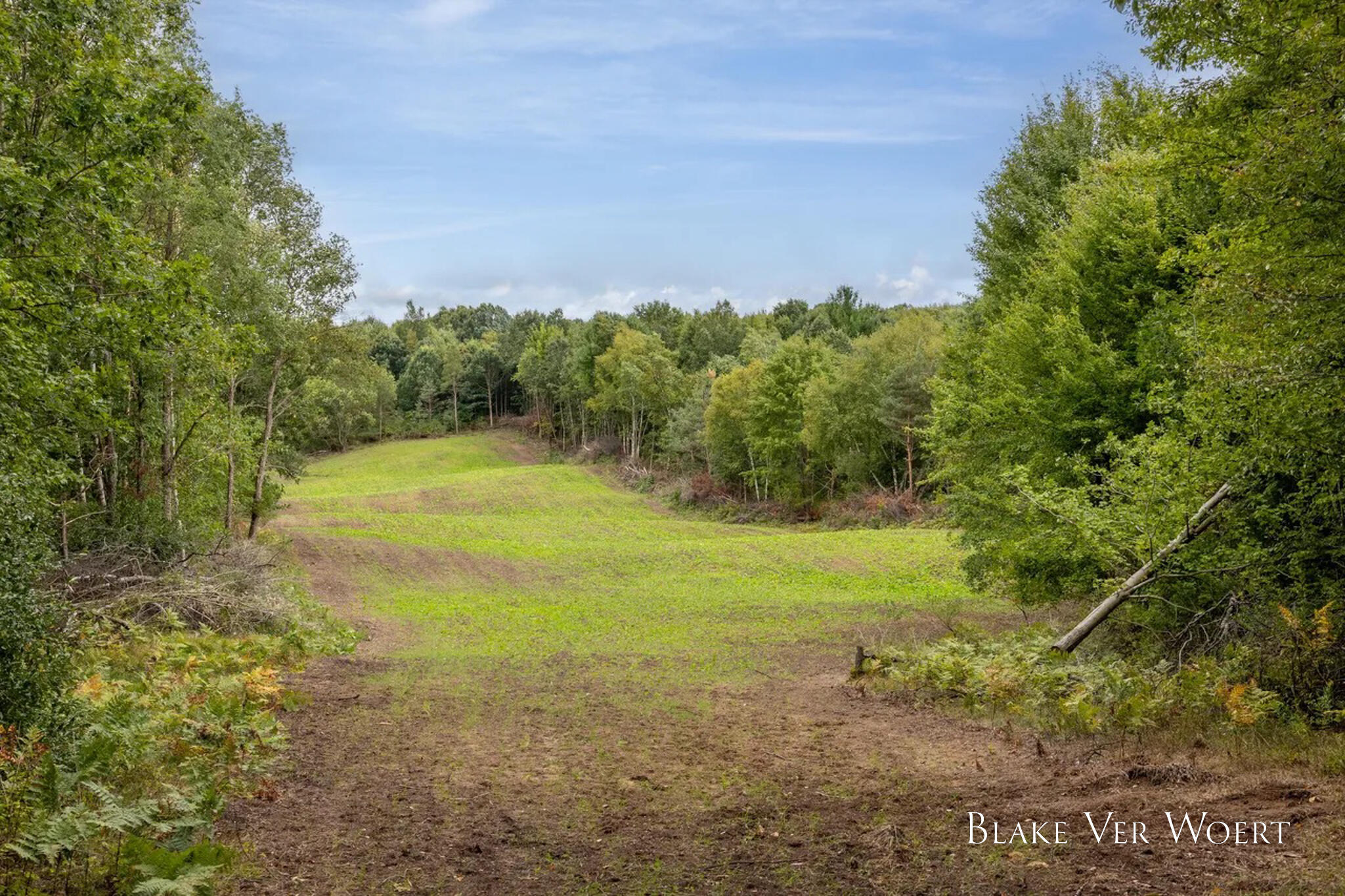 13980 12 Mile Property Photo 25