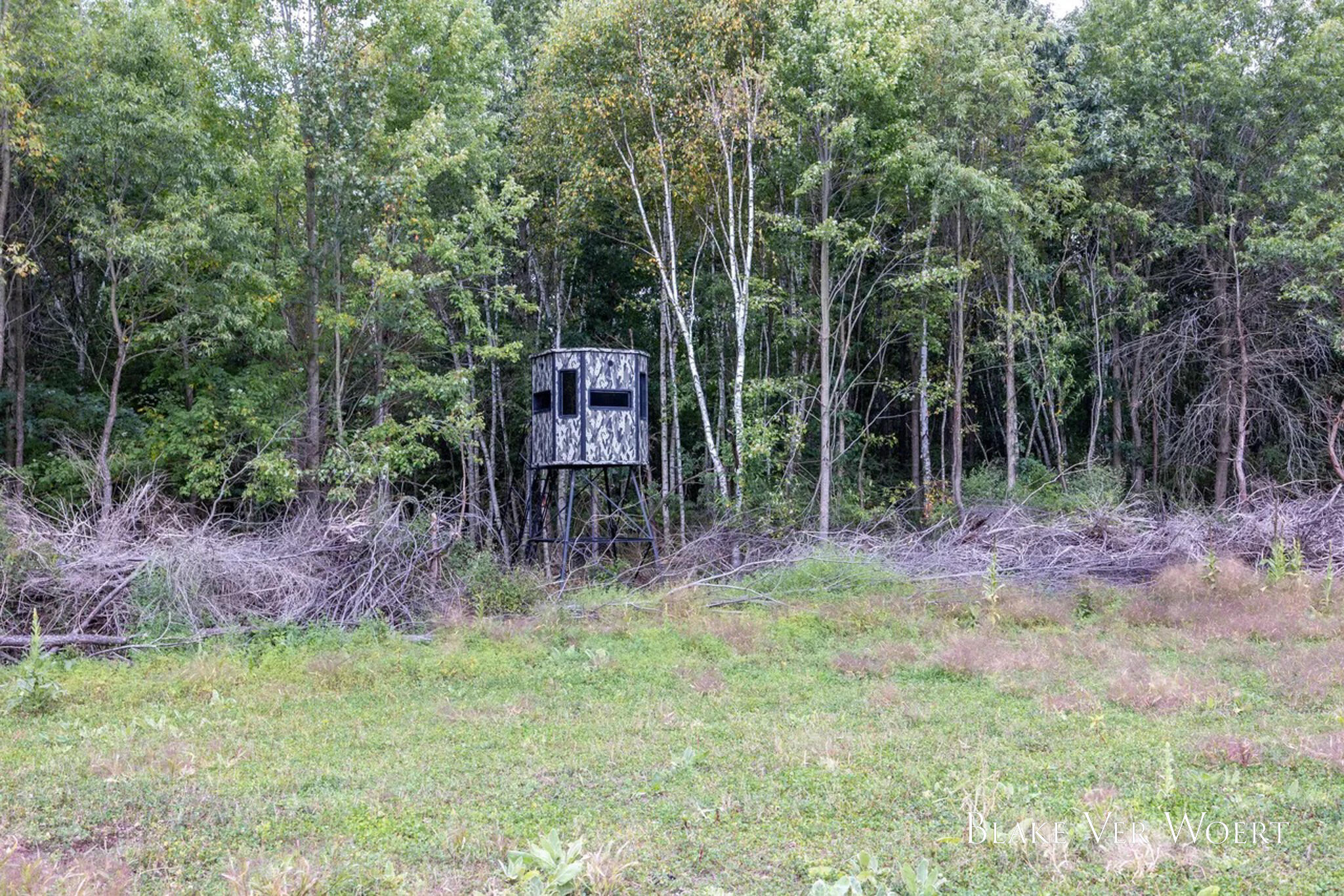 13980 12 Mile Property Photo 26