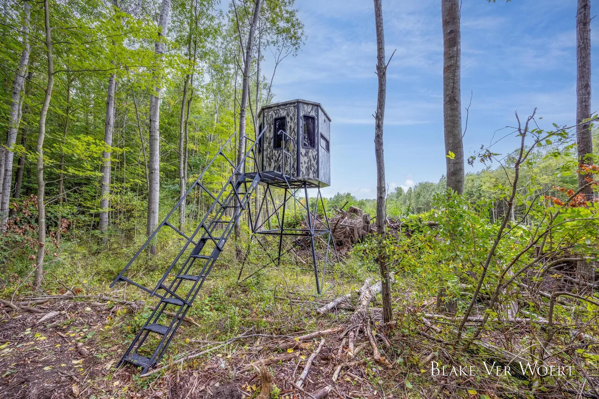 13980 12 Mile Property Photo 27