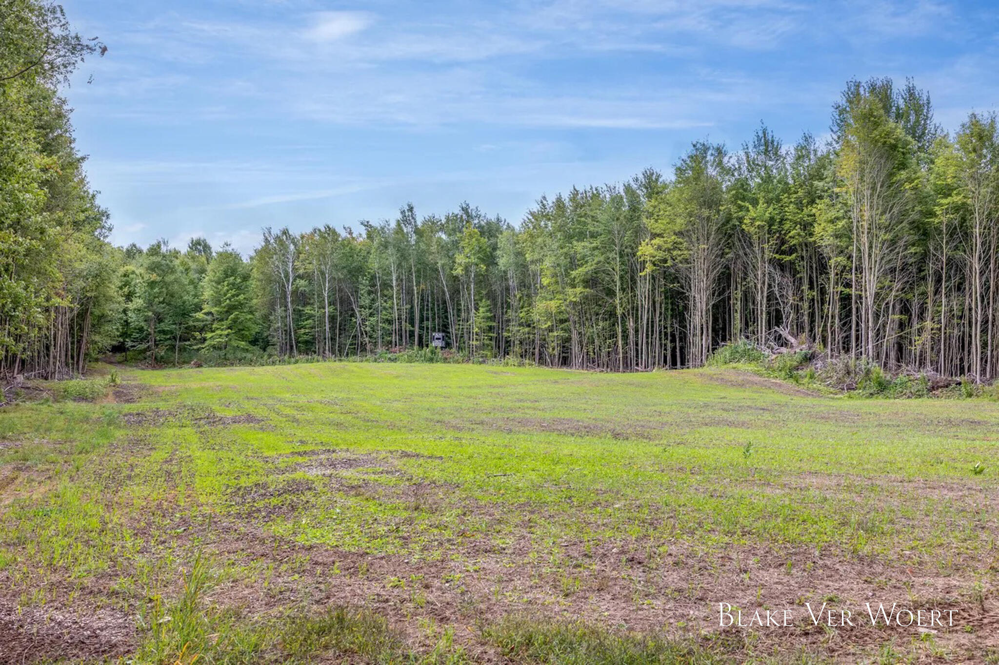 13980 12 Mile Property Photo 52