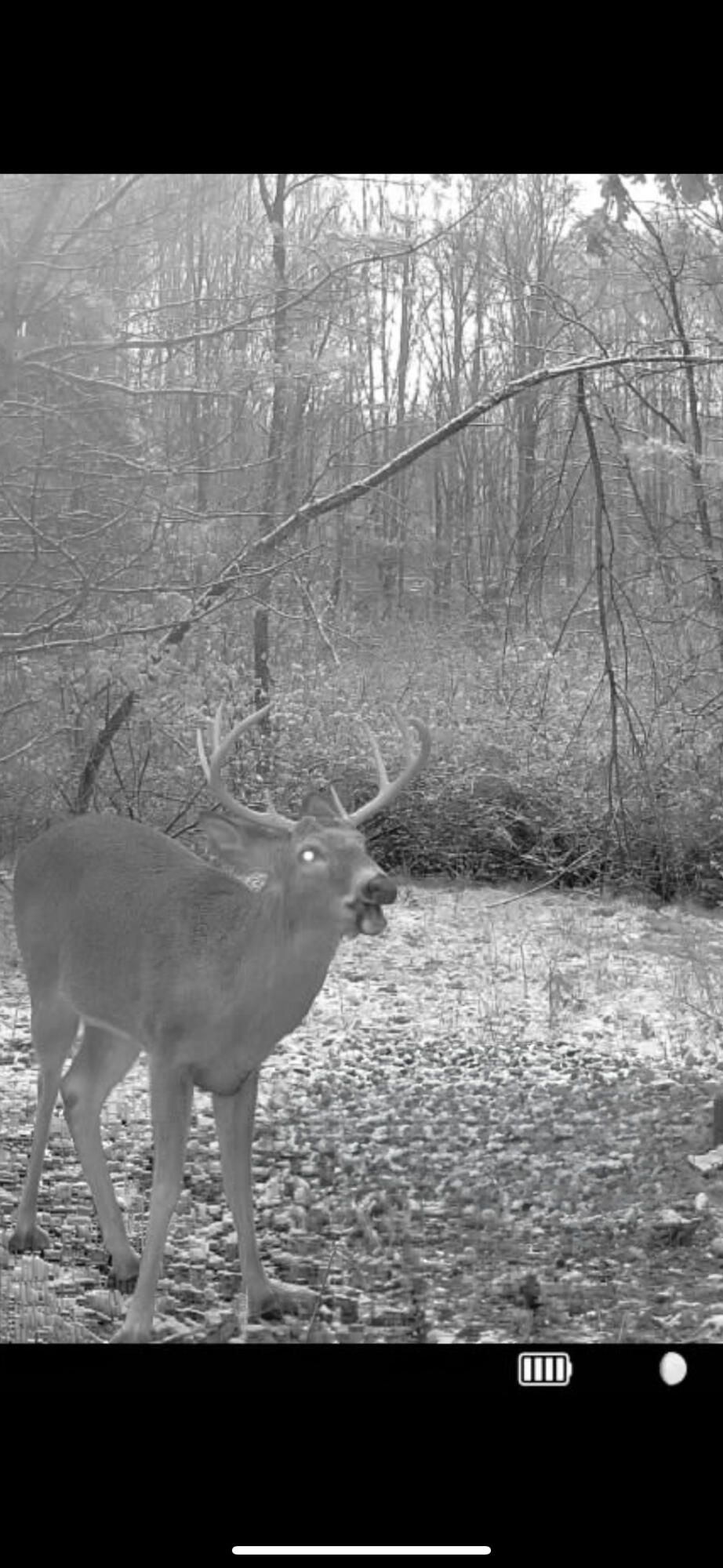 13980 12 Mile Property Photo 64