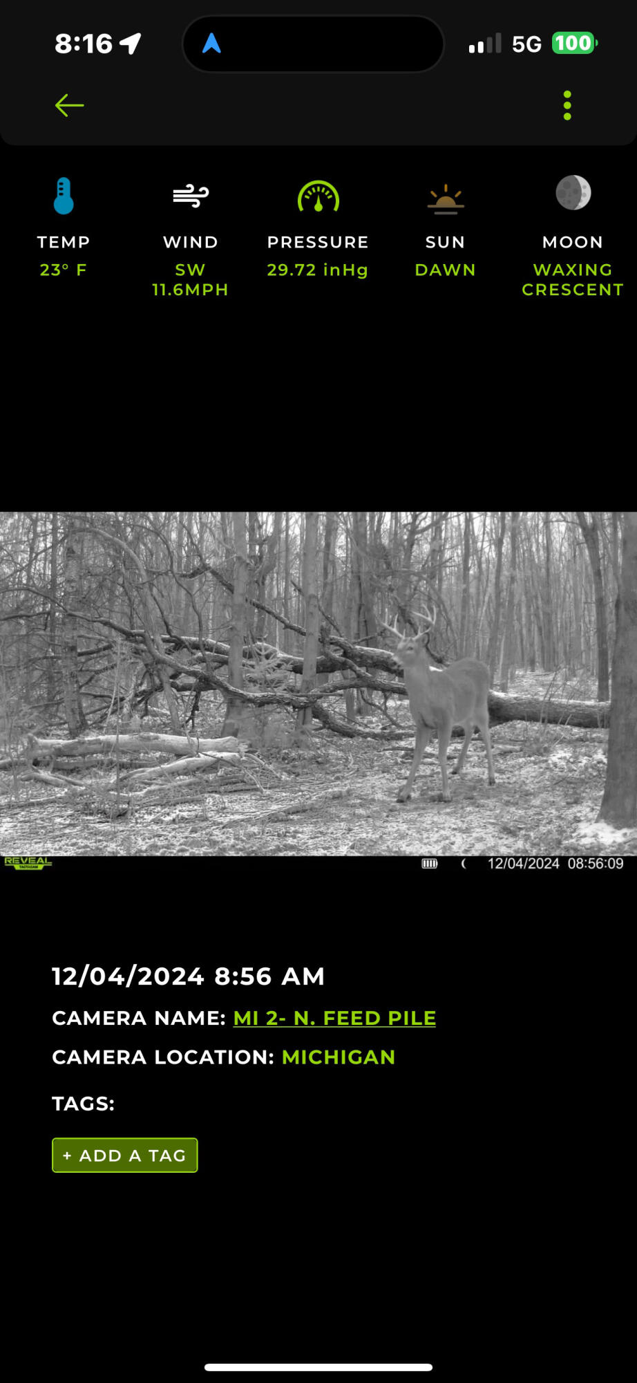 13980 12 Mile Property Photo 65