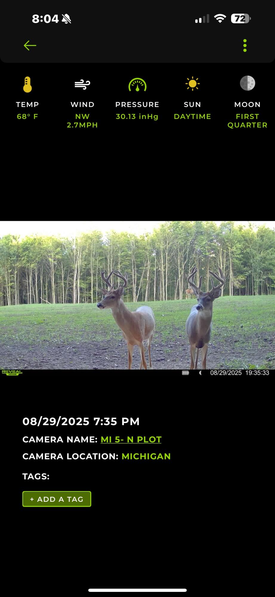 13980 12 Mile Property Photo 91