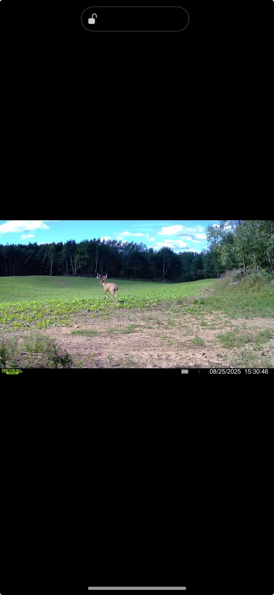 13980 12 Mile Property Photo 93