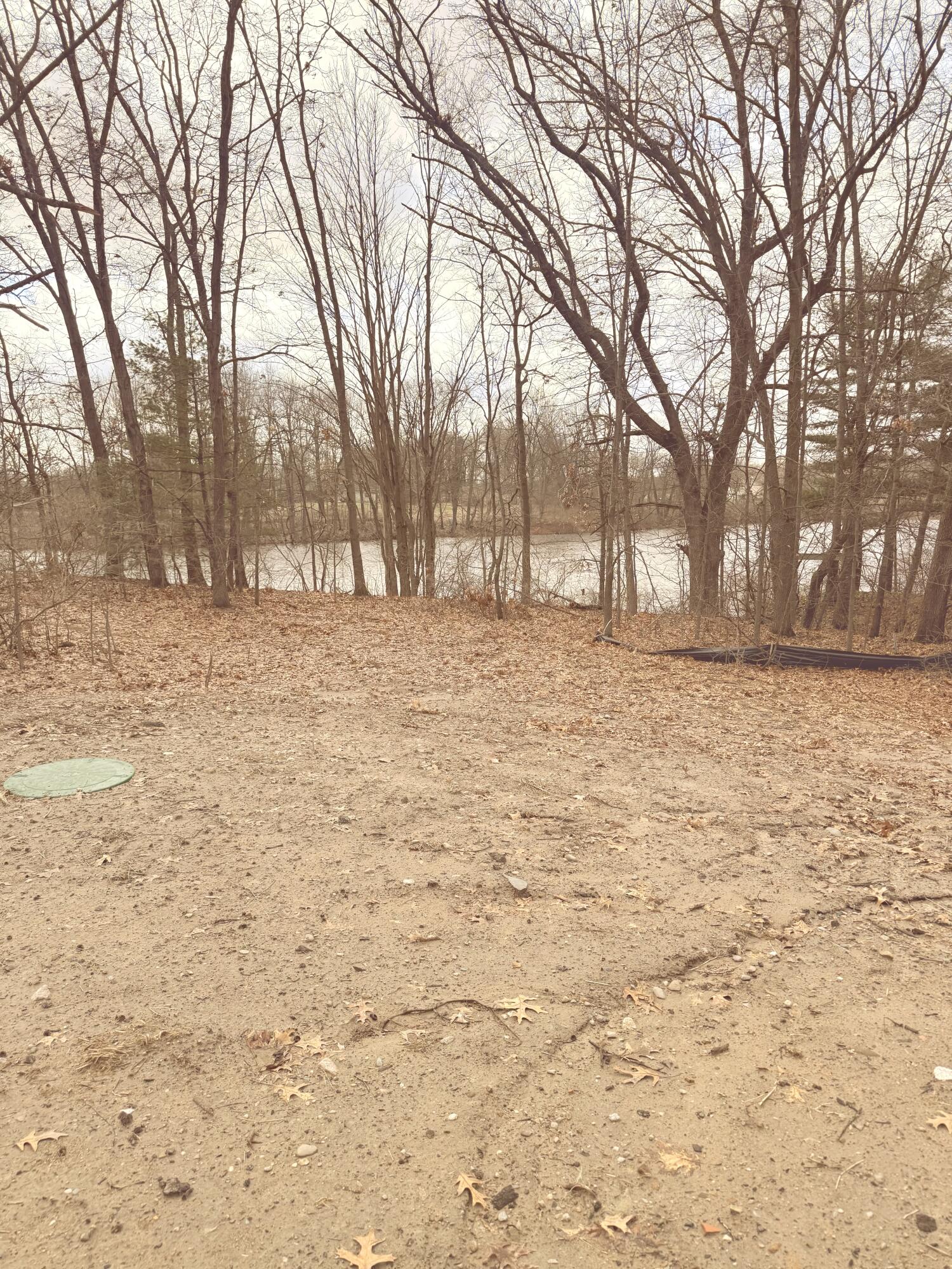 4429 Meadow Brook Lane Property Photo 3