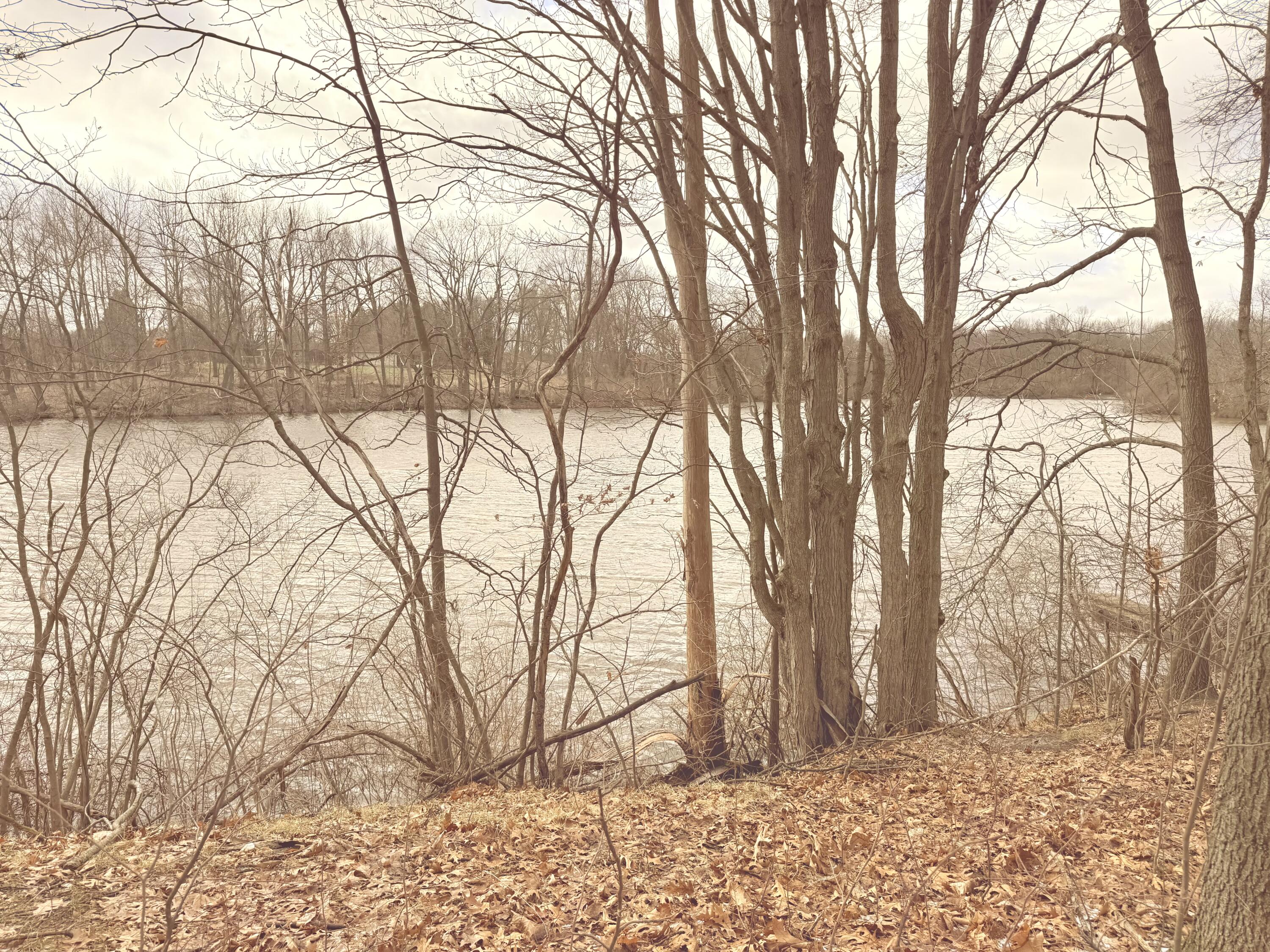 4429 Meadow Brook Lane Property Photo 4