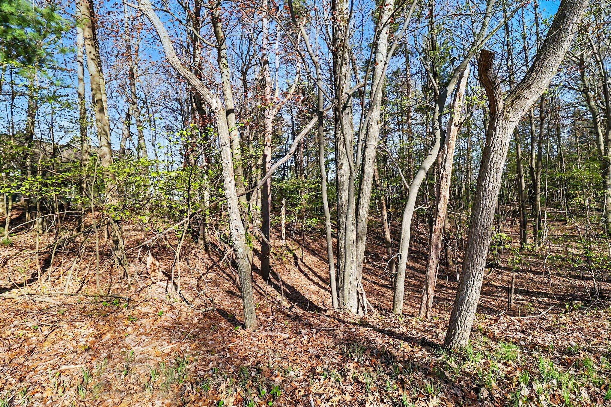 Lot 11 Silver Ridge Road Property Photo 1