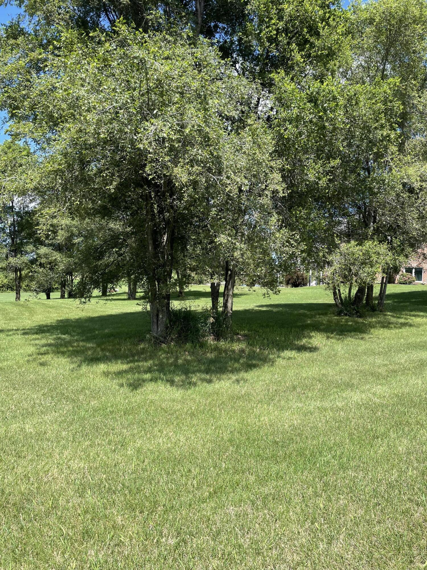 19 Coronado Drive Property Photo 7