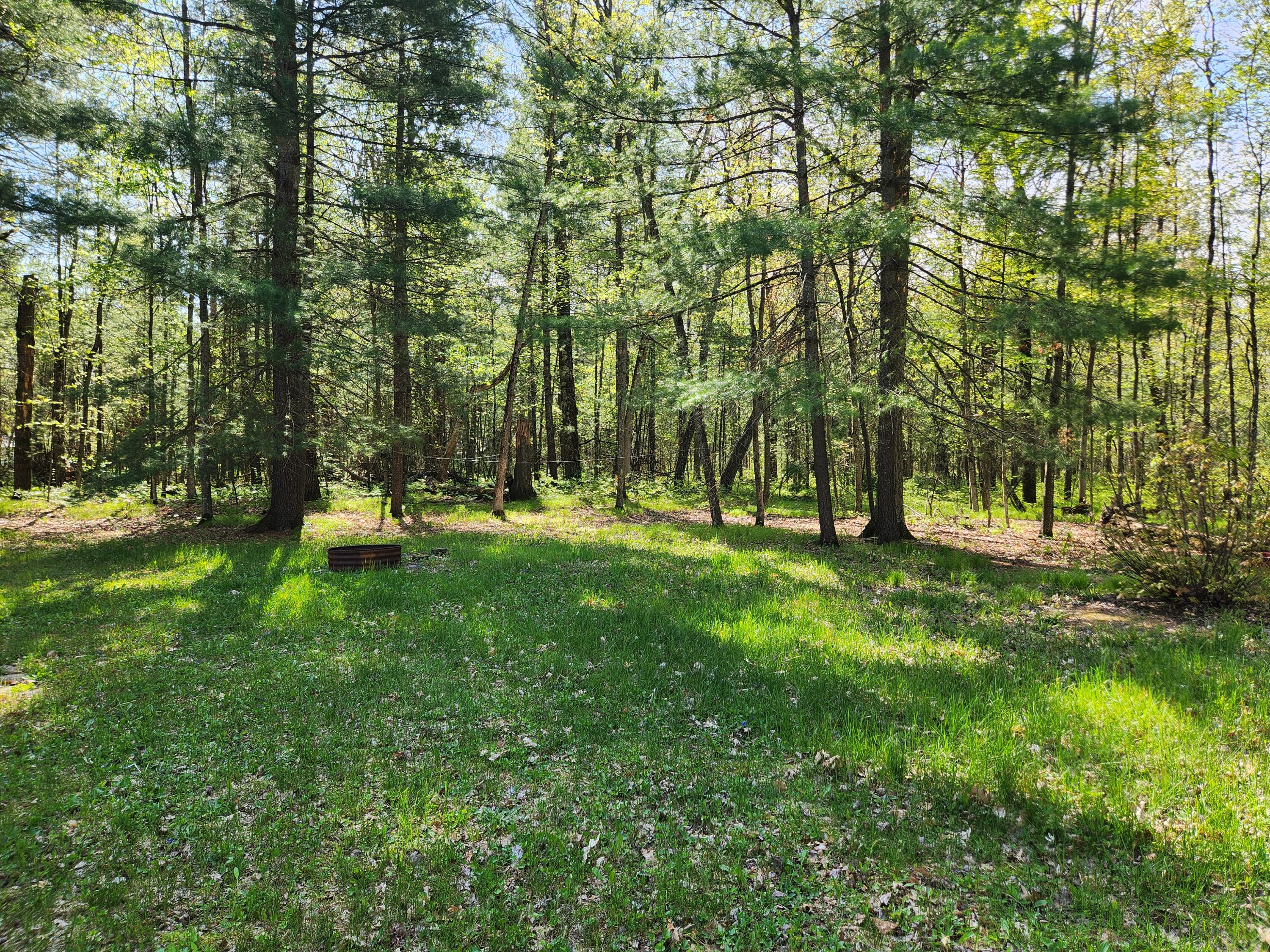 1041 Wolf Lake Drive Property Photo 31
