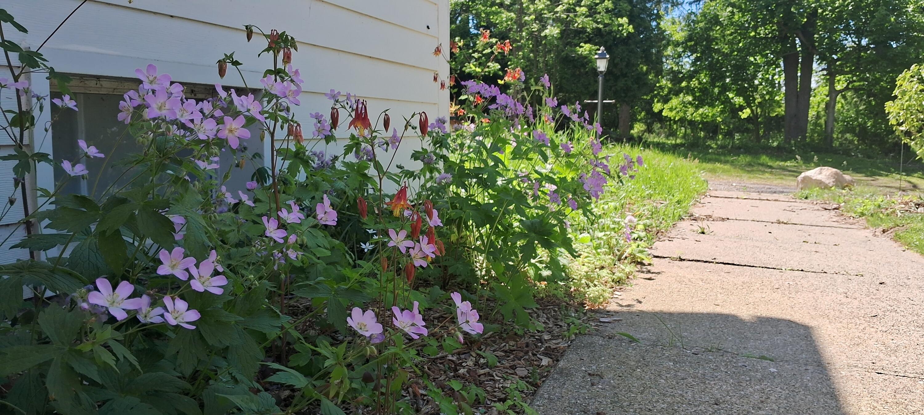4500 E Huron River Drive Property Photo 61