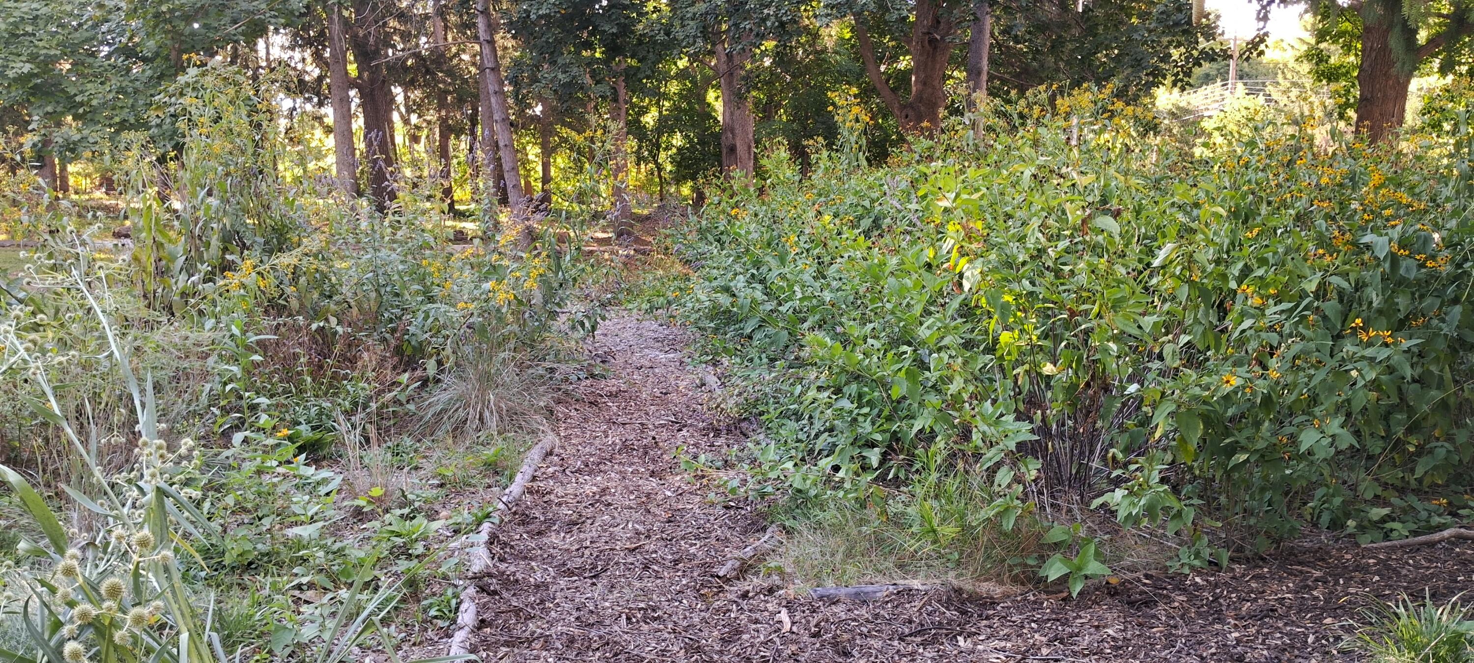 4500 E Huron River Drive Property Photo 65