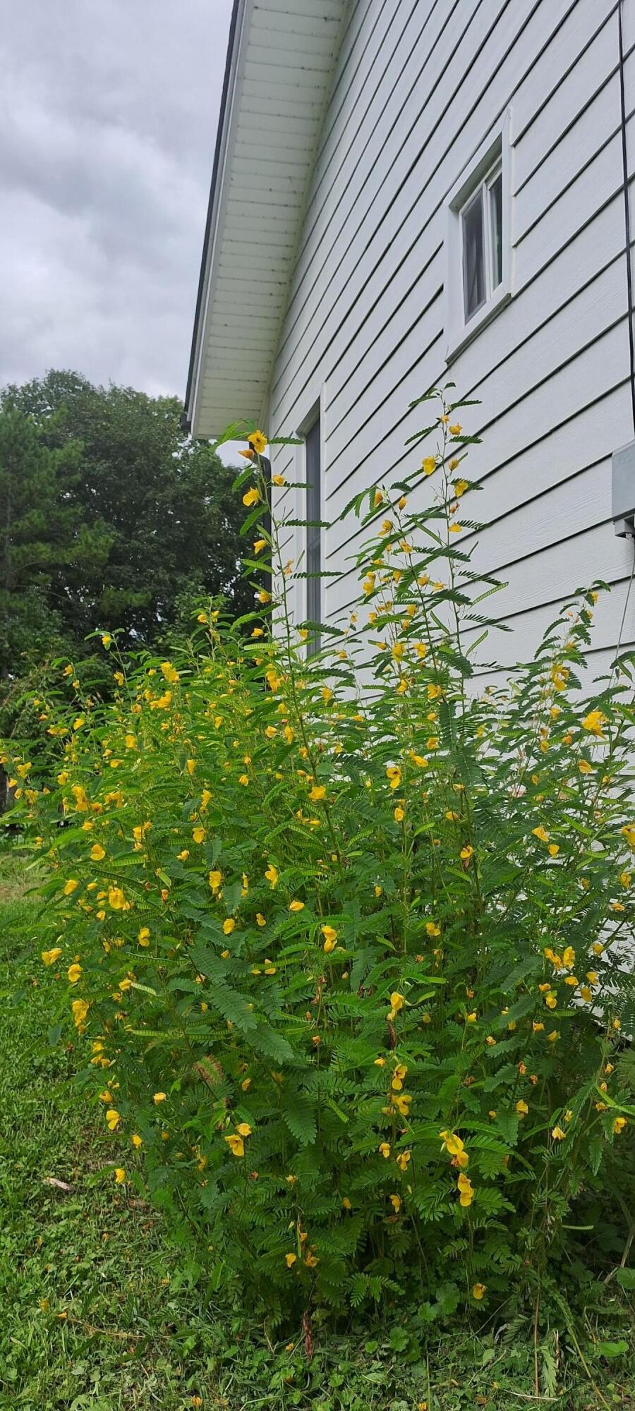4500 E Huron River Drive Property Photo 68