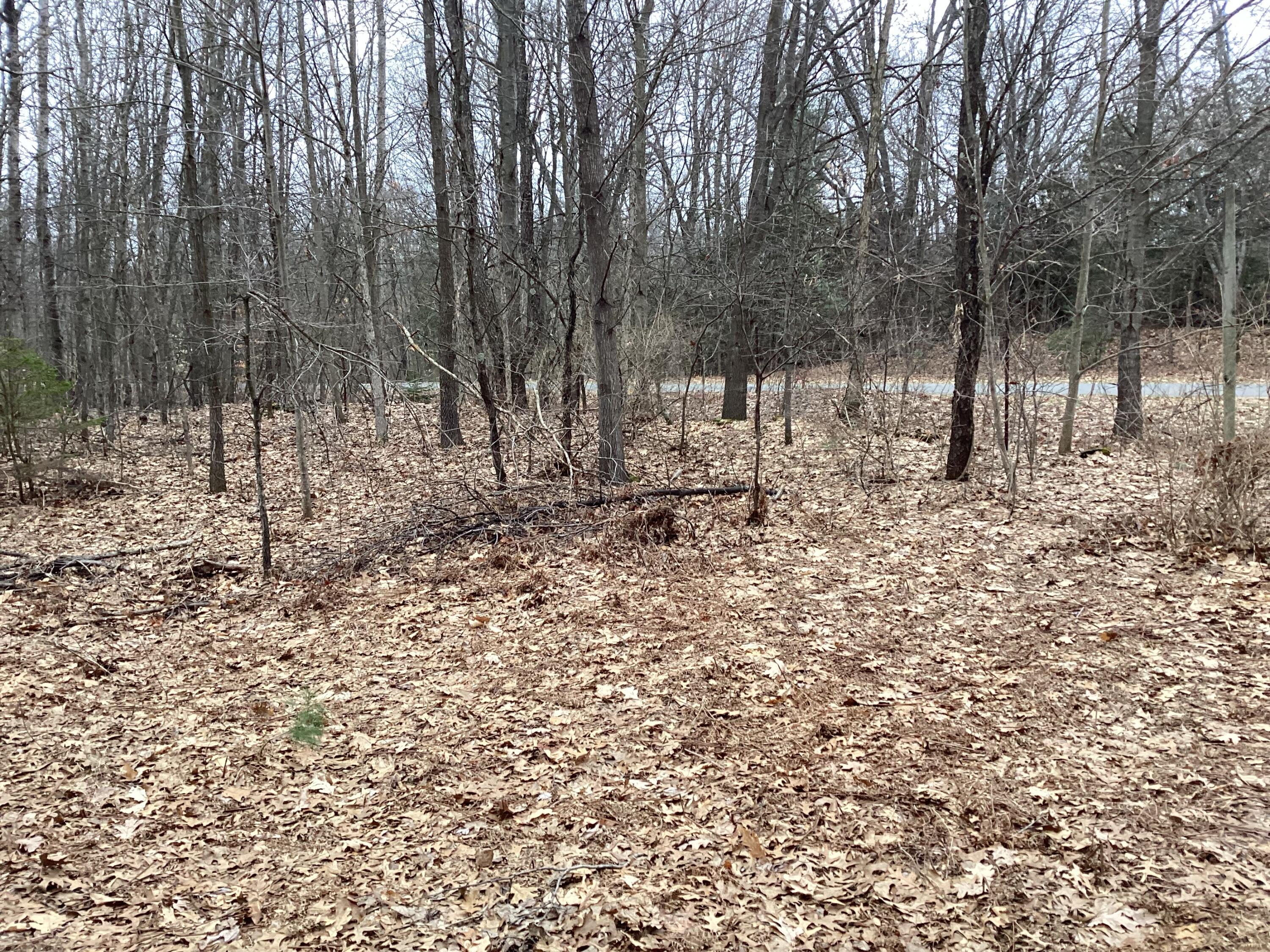 2510 W Winston Road Property Photo 14