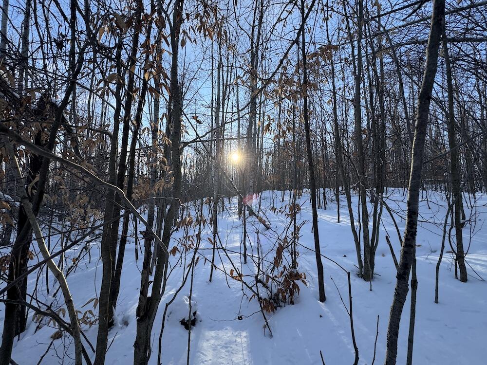80 Acres Galbrith Road Property Photo 1
