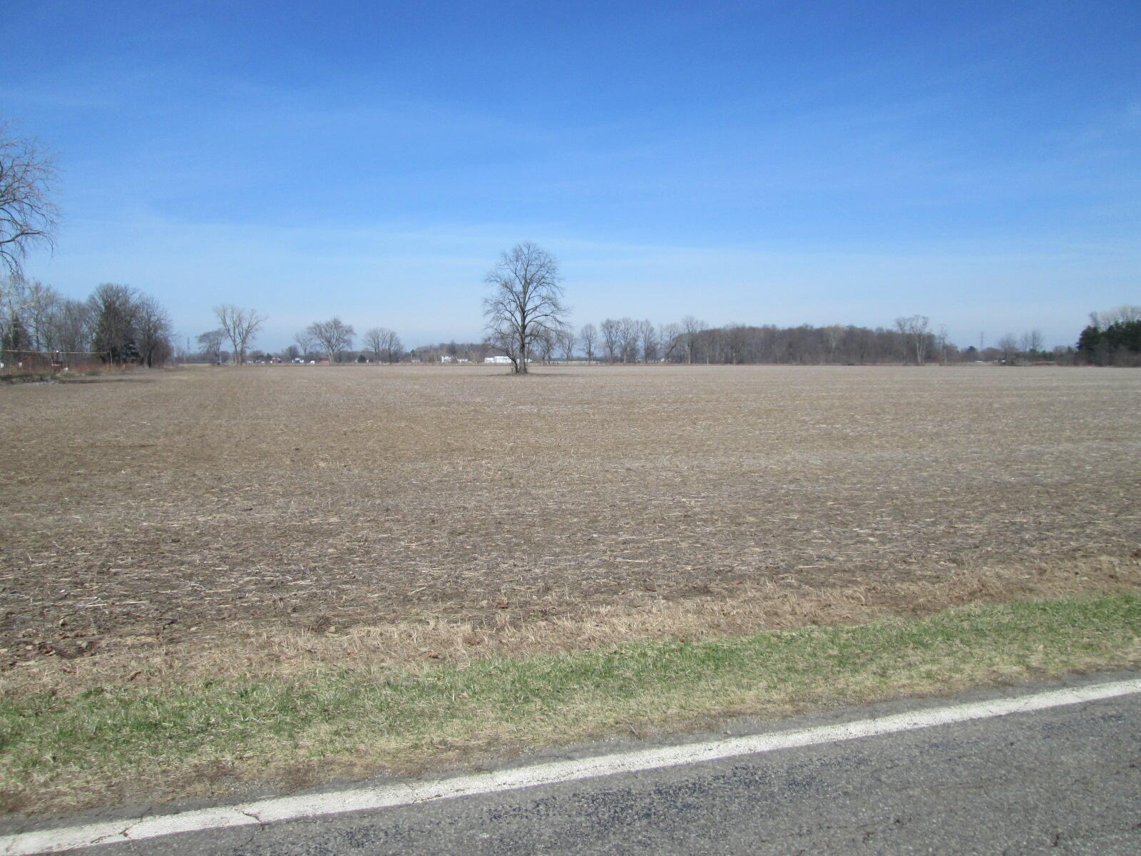 V/l W Lemon Creek Road 1 Property Photo 2