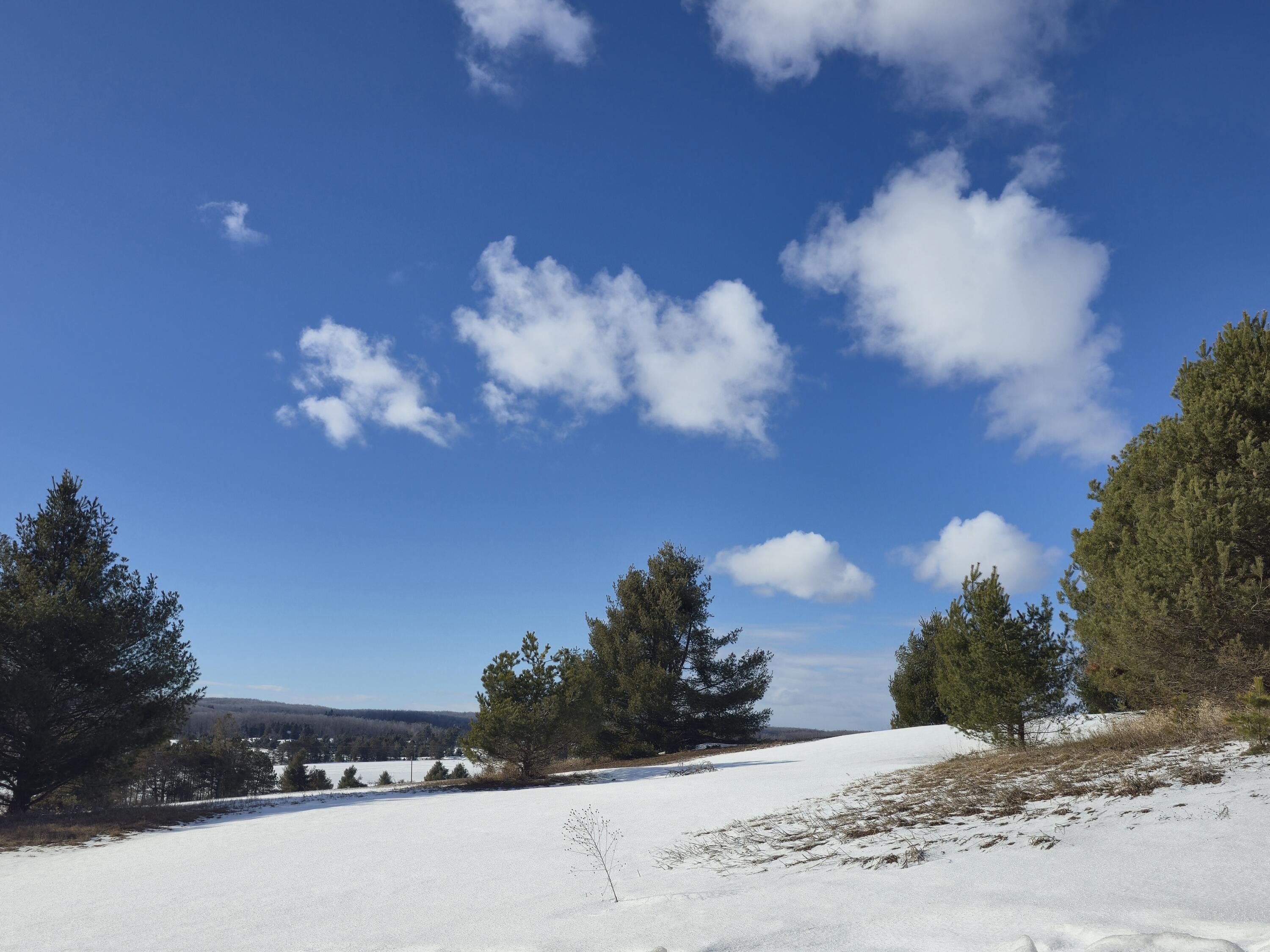 5850 Deer Run Trail Property Photo 2