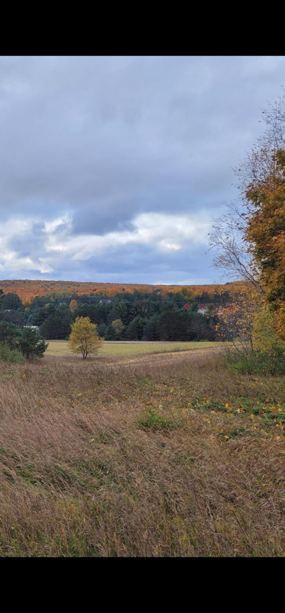 5850 Deer Run Trail Property Photo 20