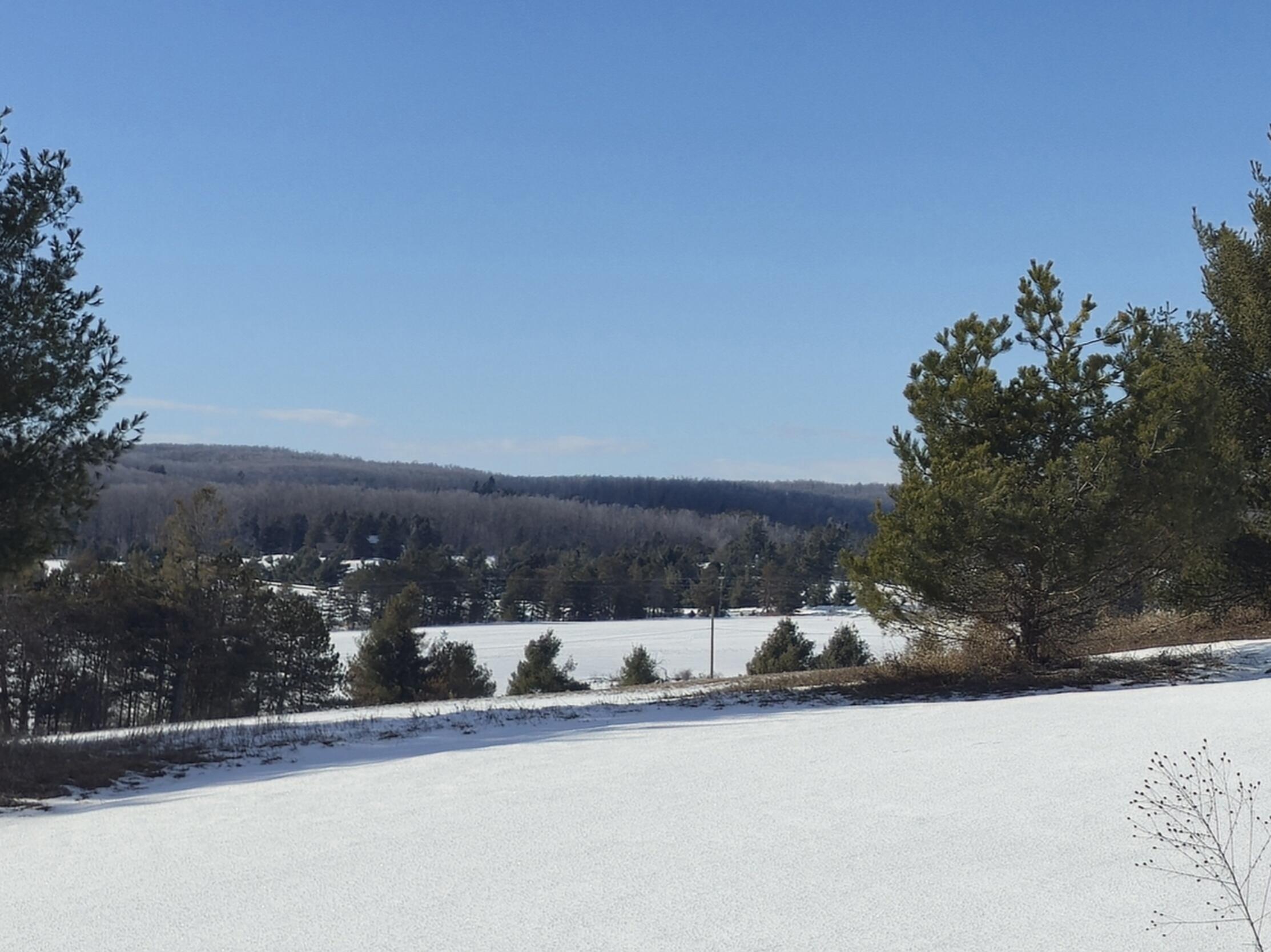 5850 Deer Run Trail Property Photo 21