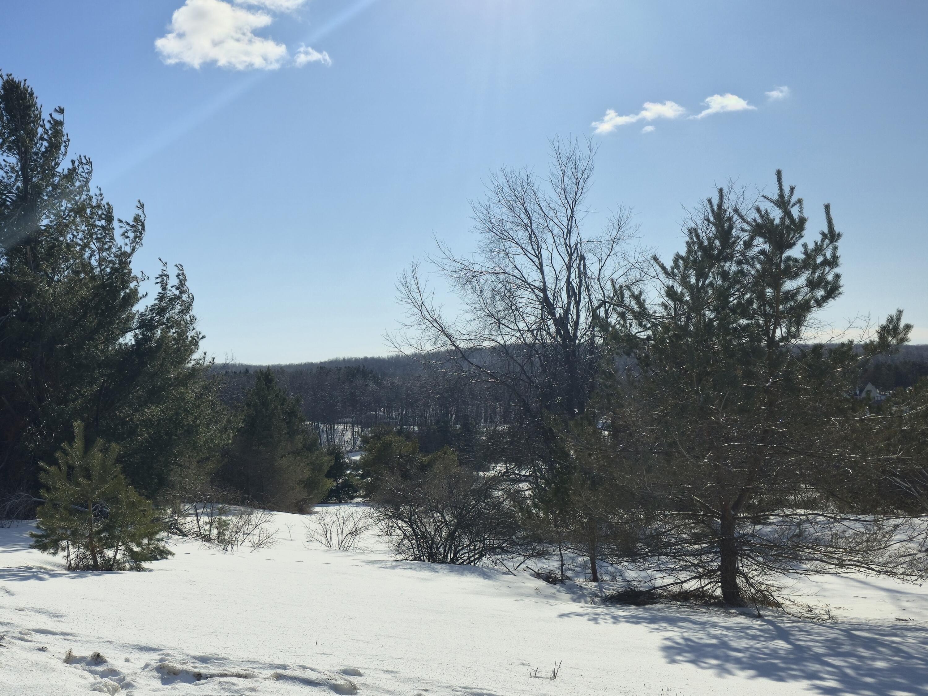 5850 Deer Run Trail Property Photo 25