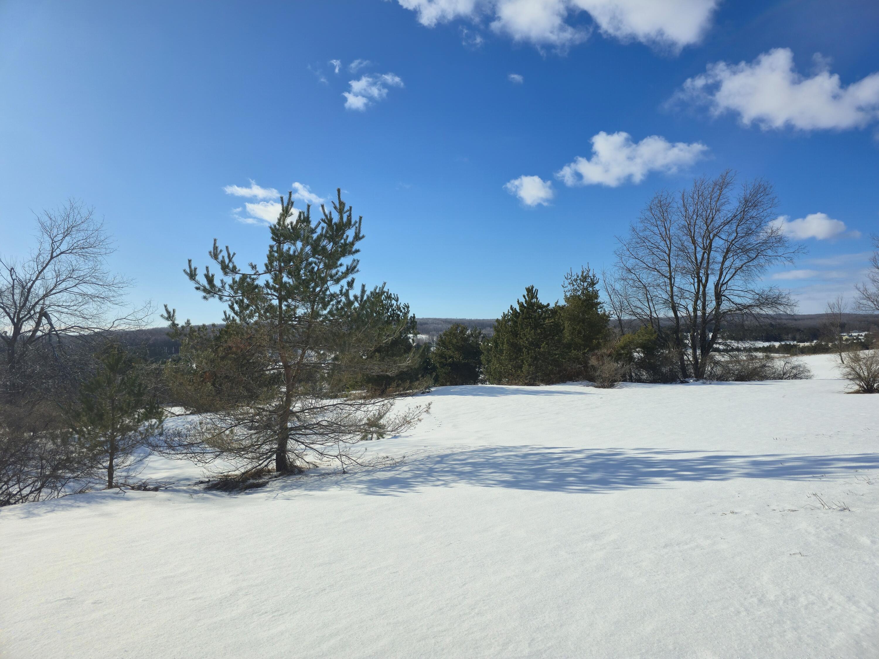 5850 Deer Run Trail Property Photo 26