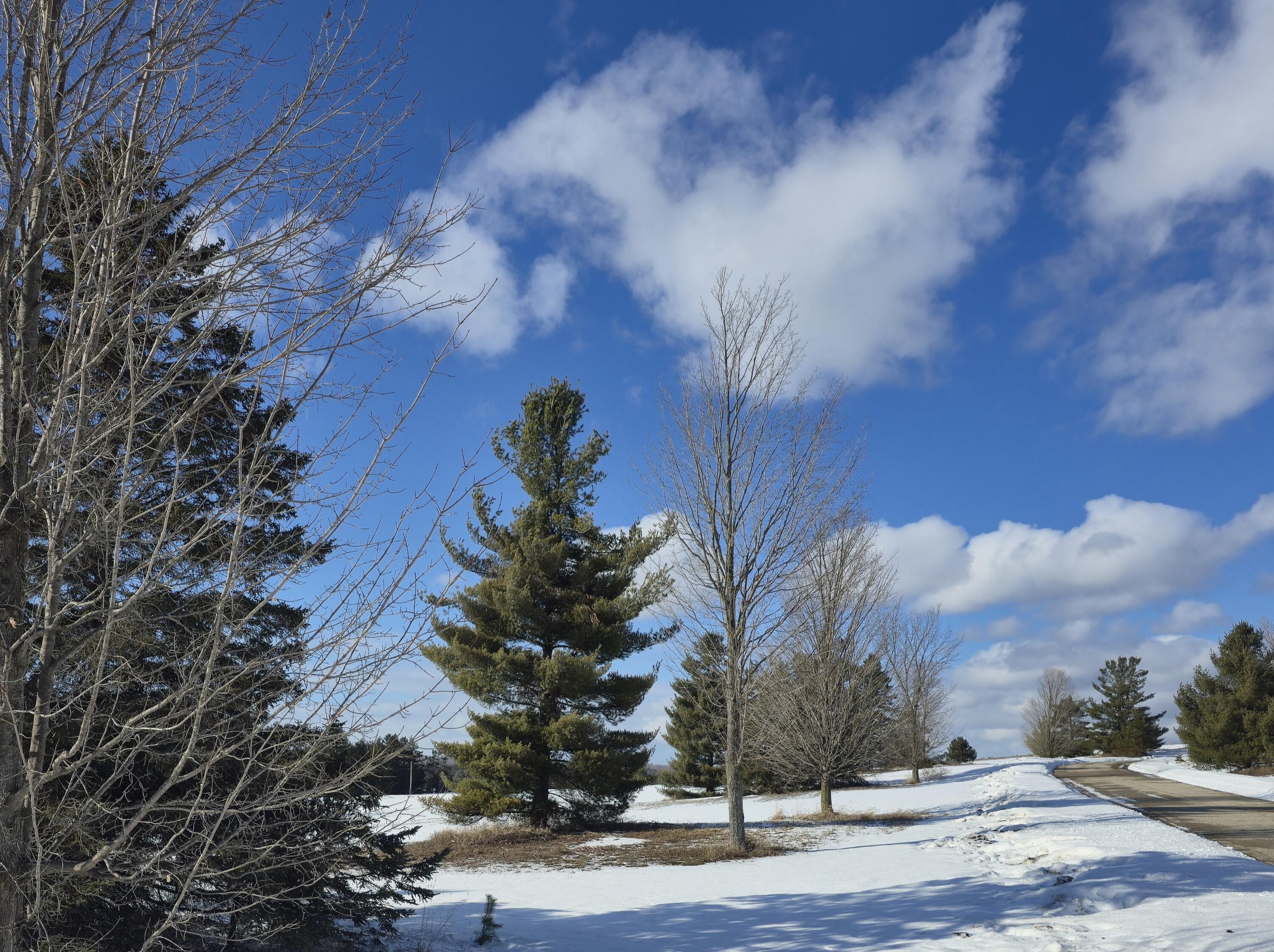 5850 Deer Run Trail Property Photo 30