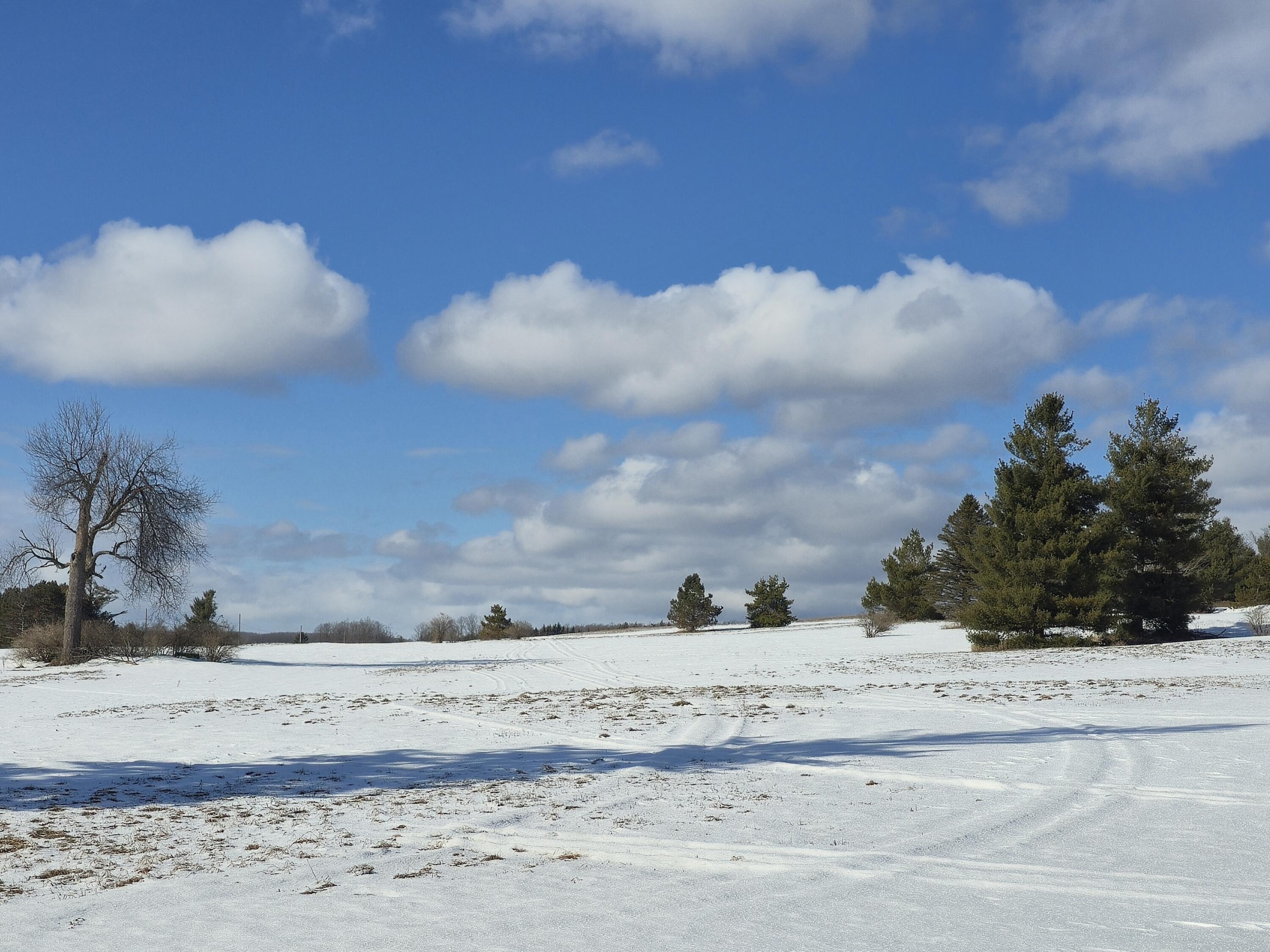 5850 Deer Run Trail Property Photo 32