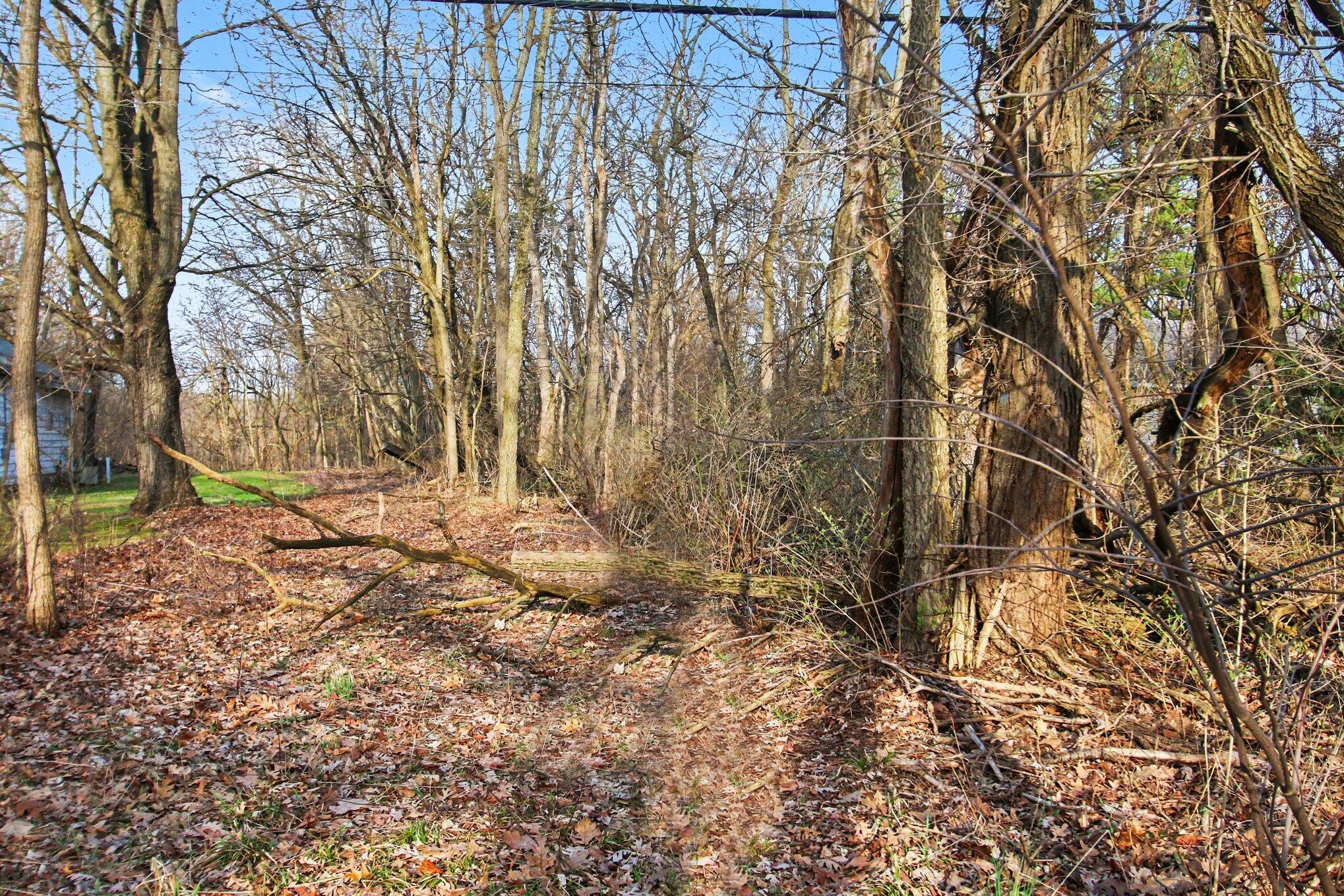 Vl Bridge Road Property Photo 8
