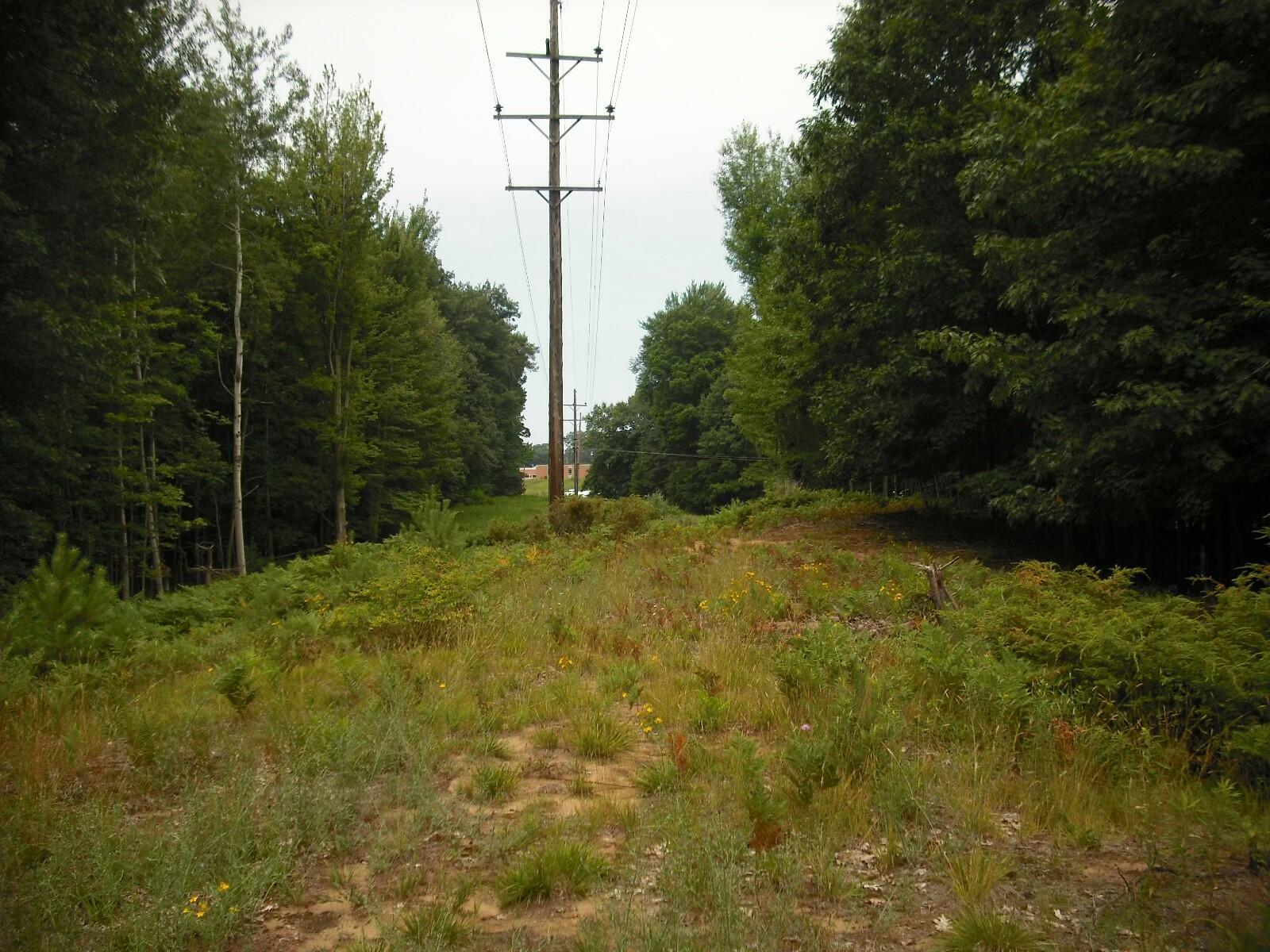 17078 Lake Michigan Drive Property Photo 27