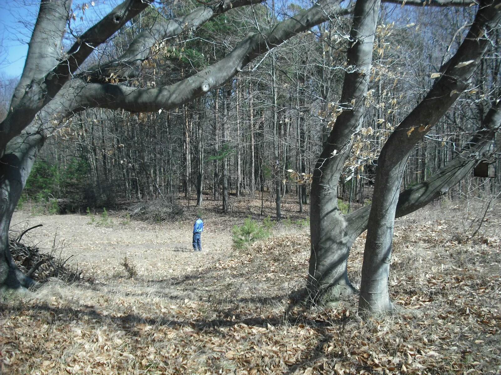 17078 Lake Michigan Drive Property Photo 32