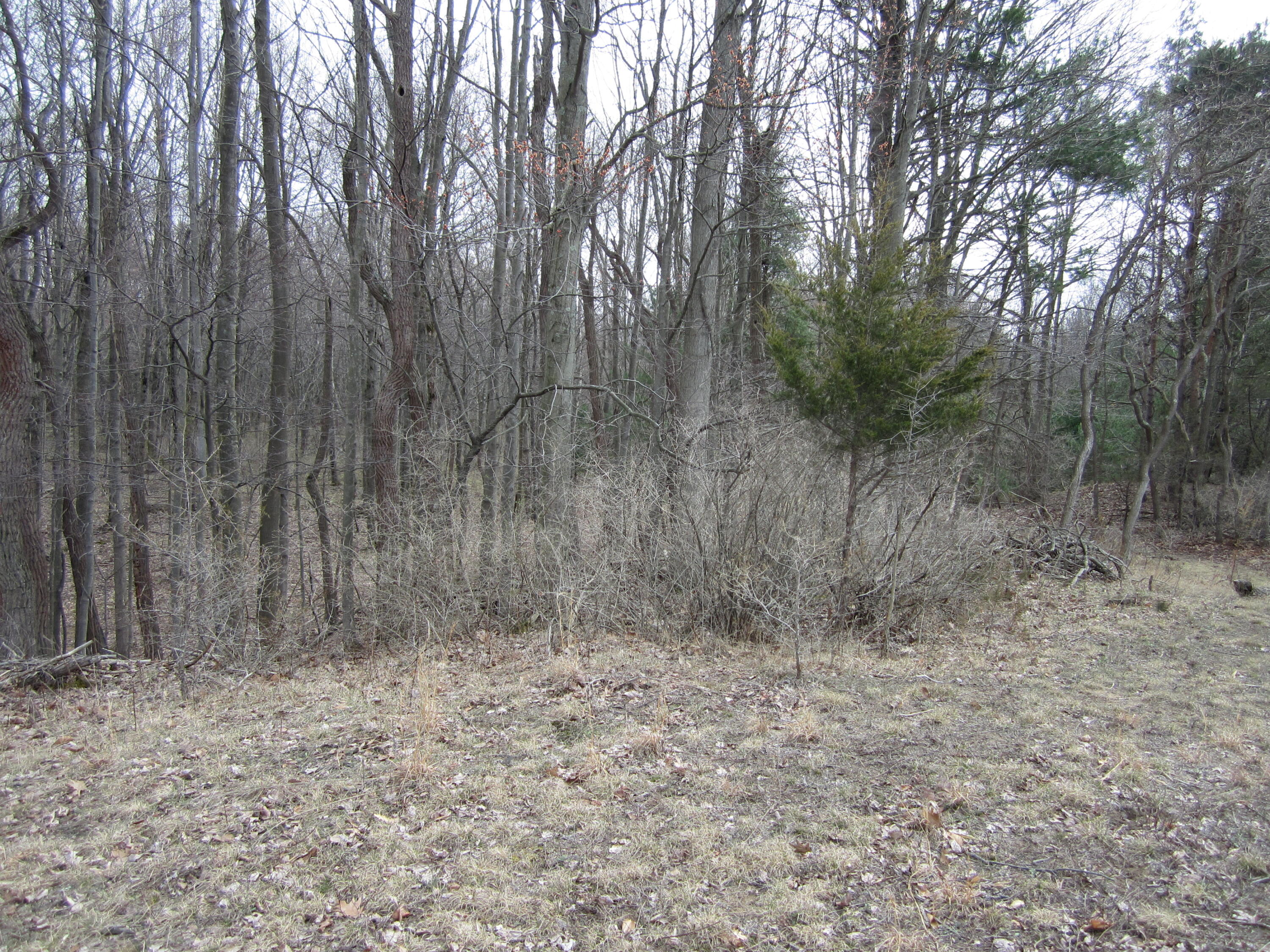17078 Lake Michigan Drive Property Photo 33