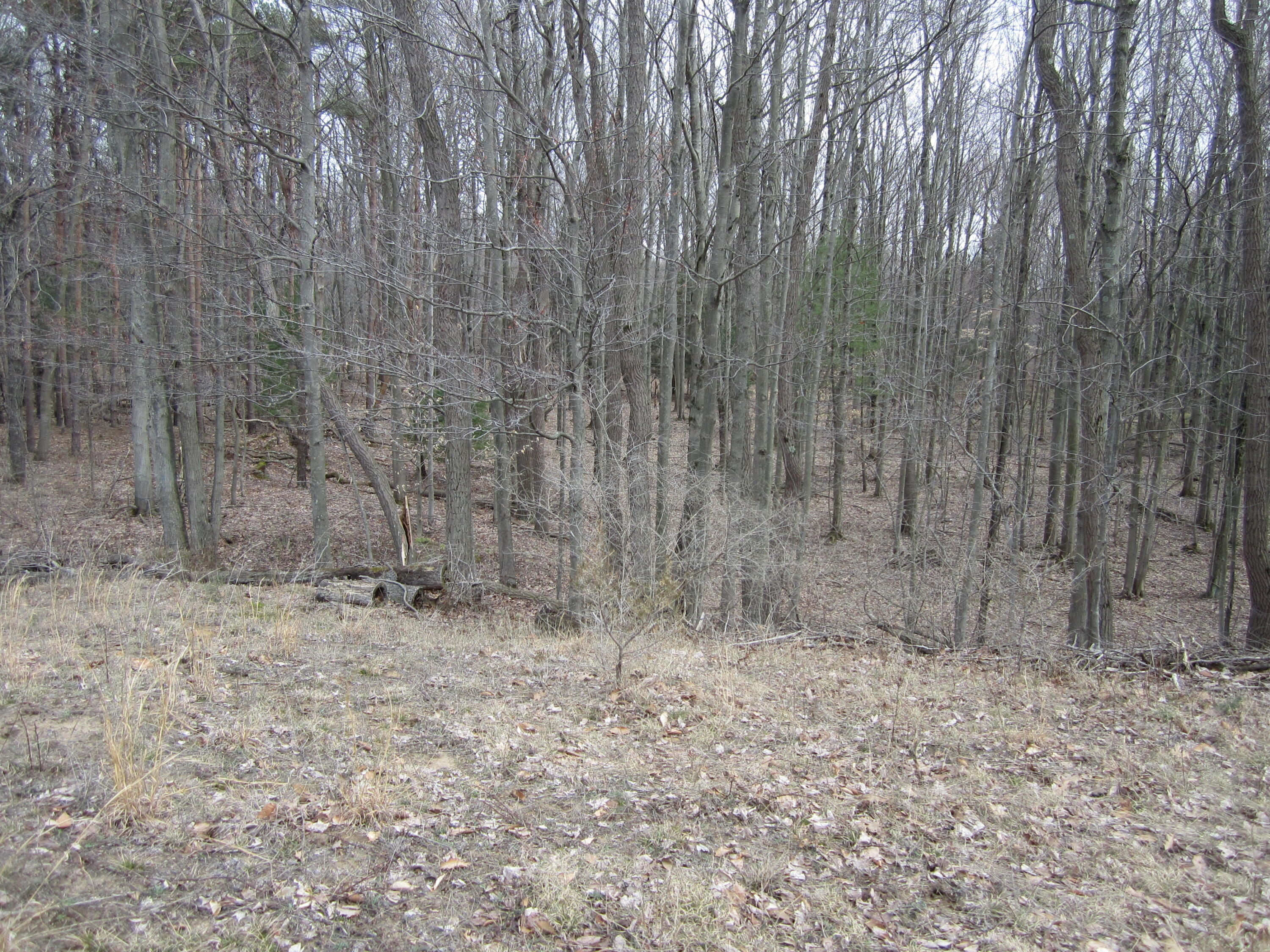 17078 Lake Michigan Drive Property Photo 34