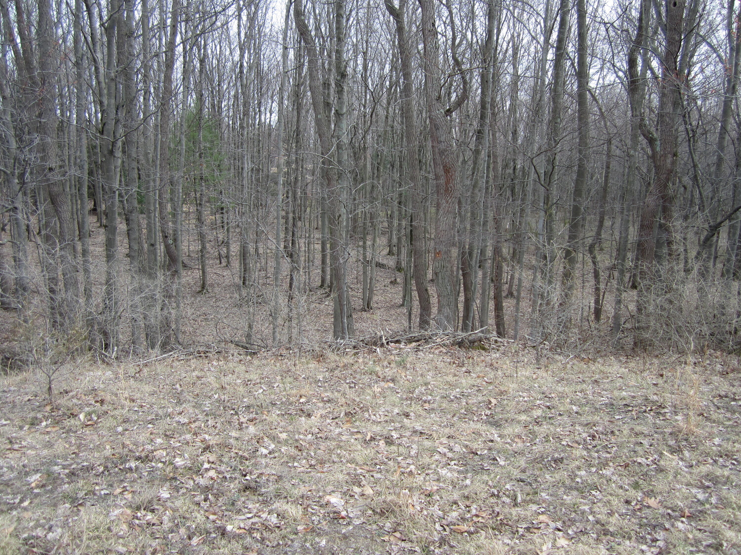17078 Lake Michigan Drive Property Photo 35