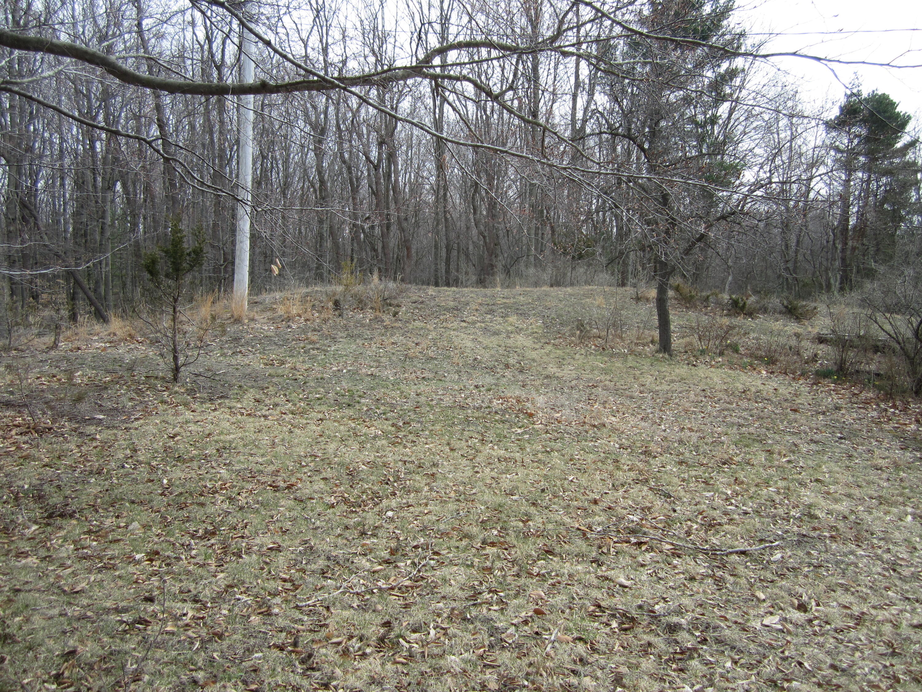 17078 Lake Michigan Drive Property Photo 36