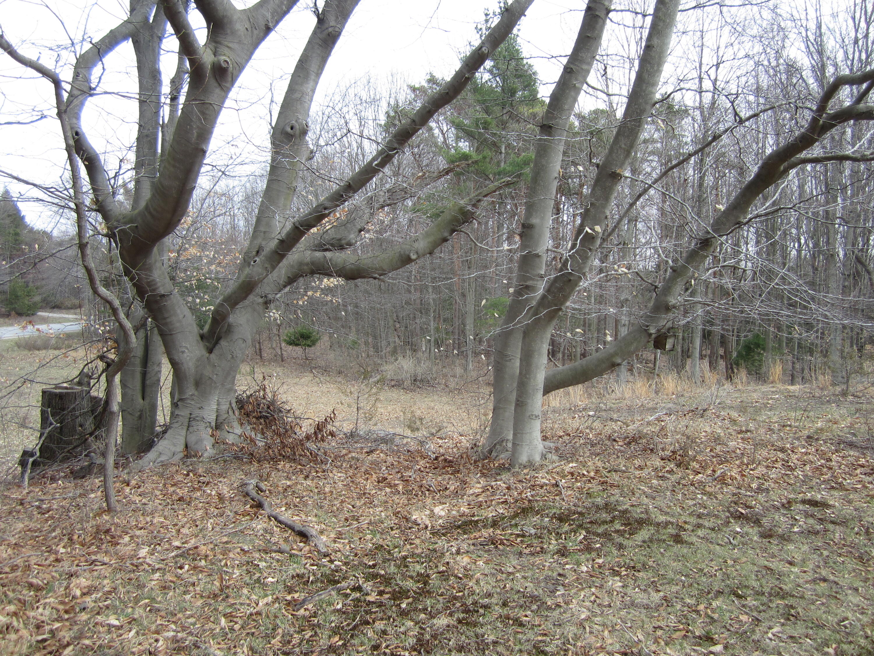 17078 Lake Michigan Drive Property Photo 37