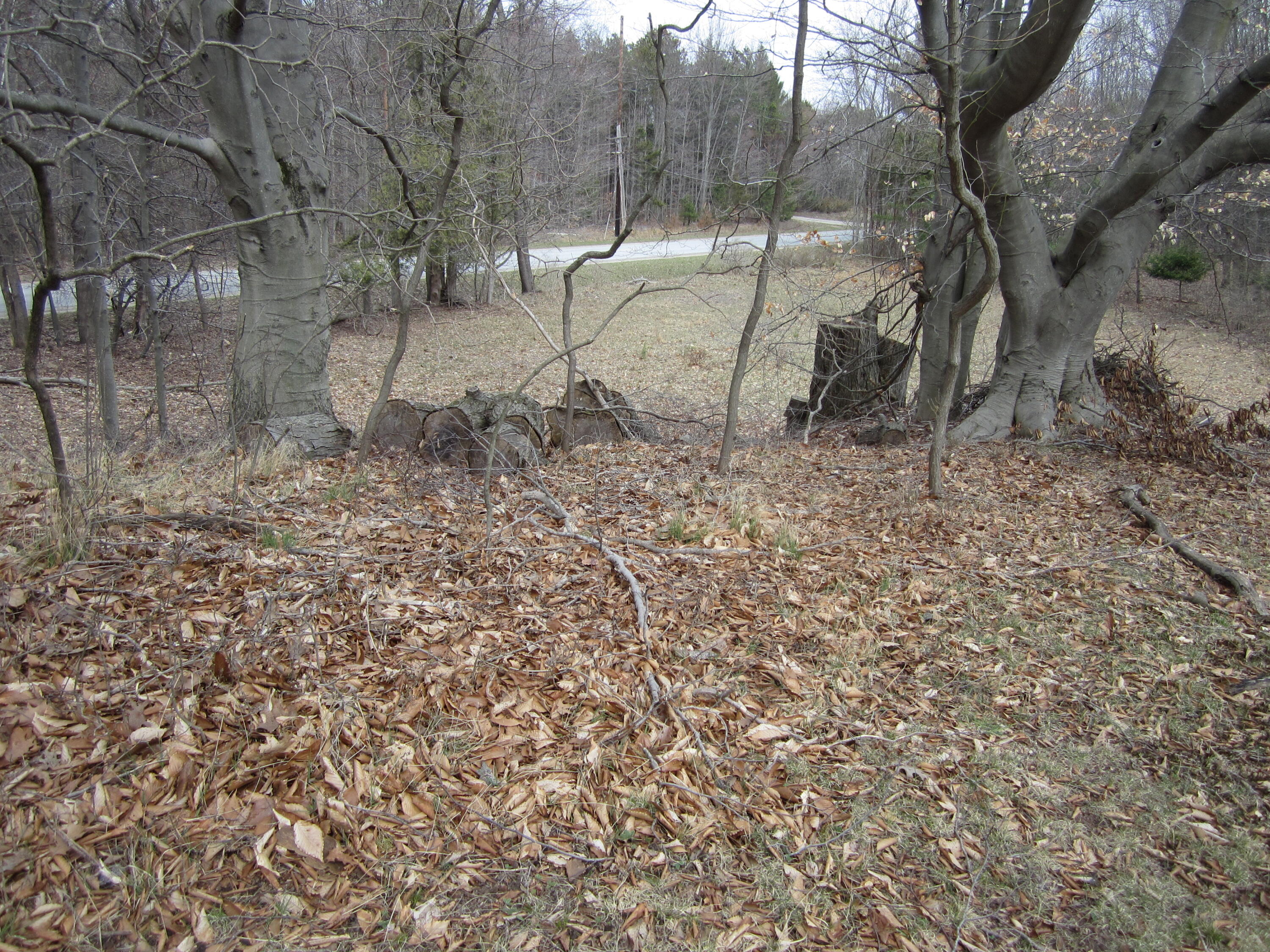 17078 Lake Michigan Drive Property Photo 38