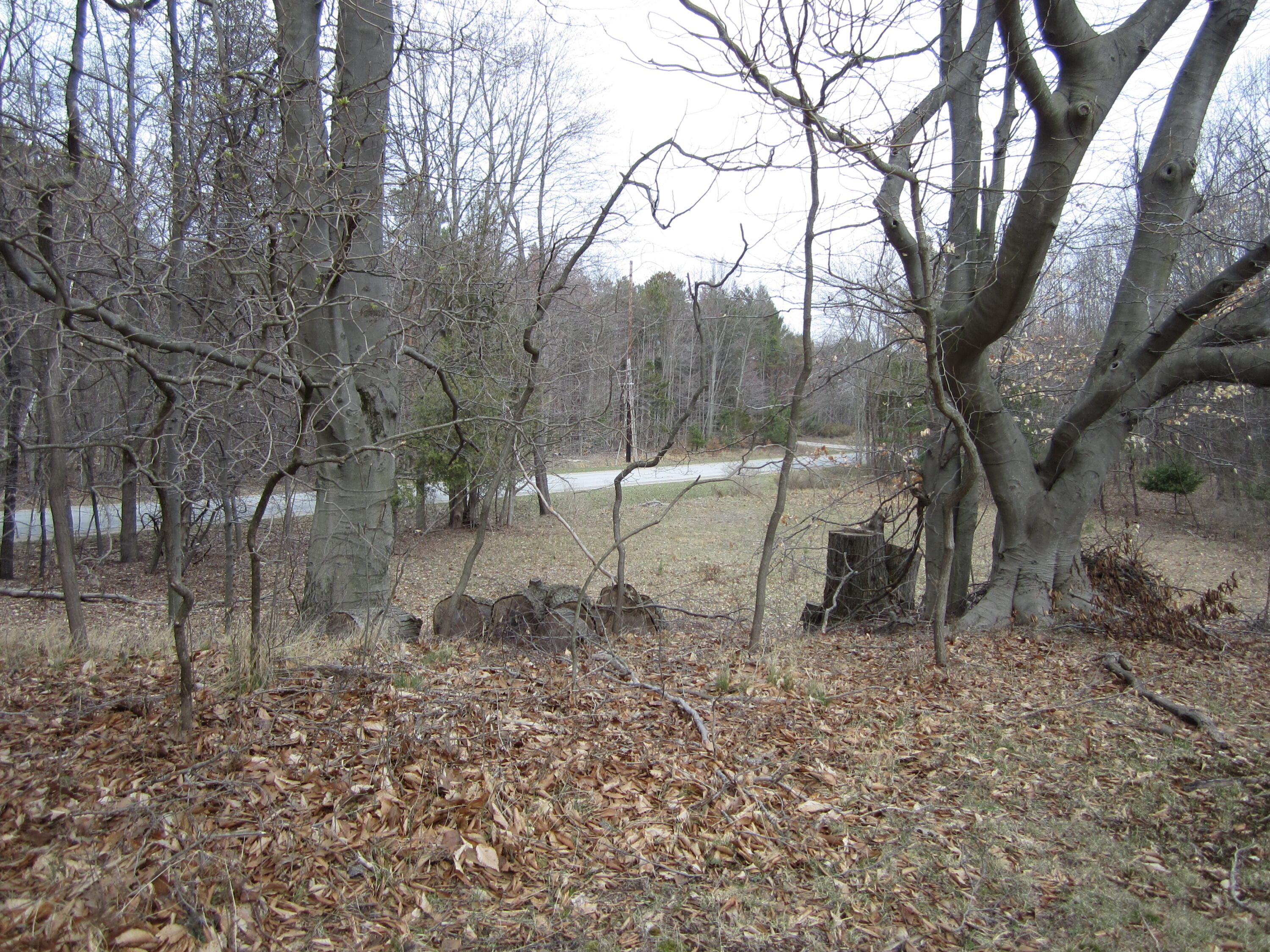 17078 Lake Michigan Drive Property Photo 39