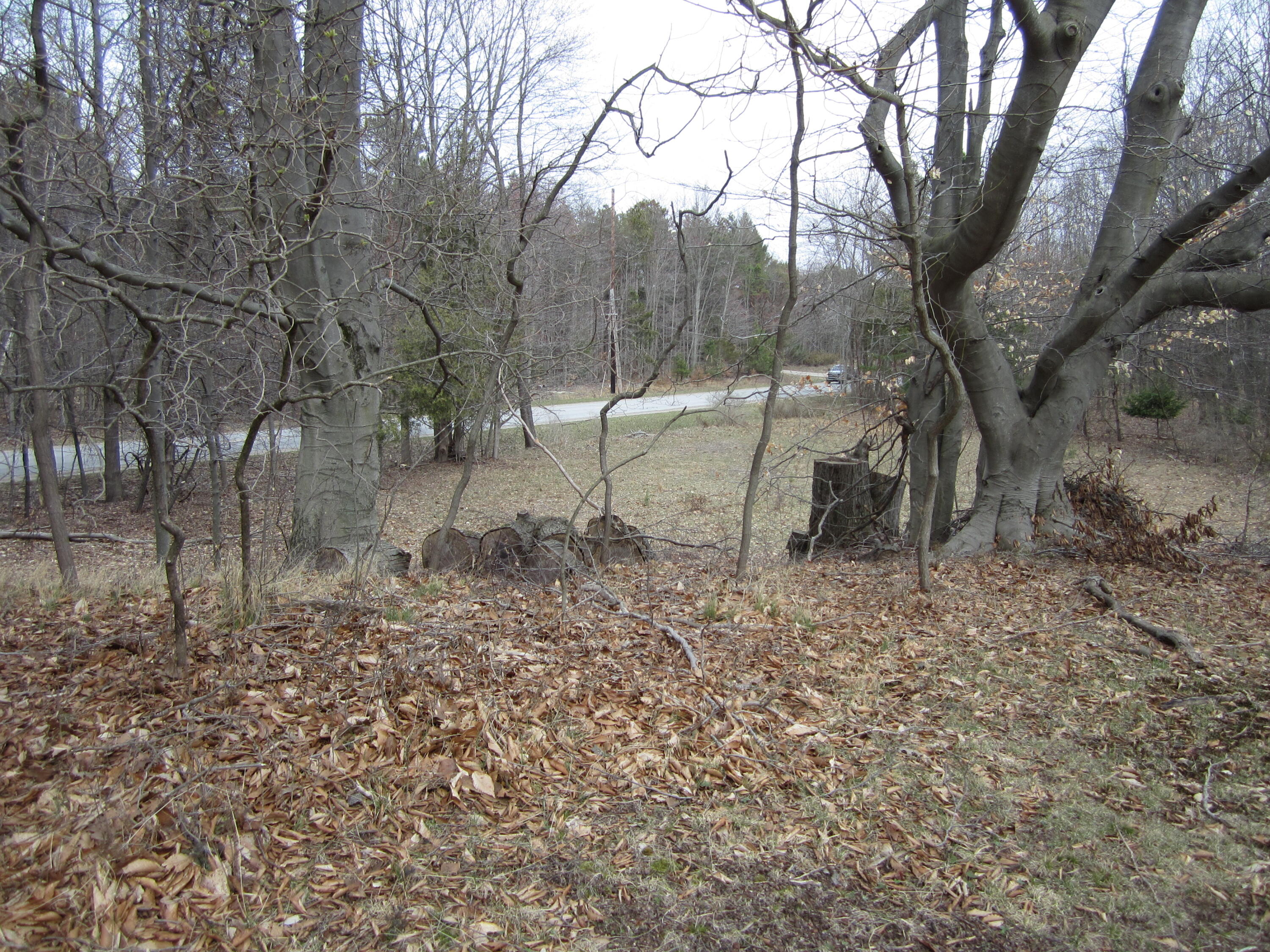 17078 Lake Michigan Drive Property Photo 40