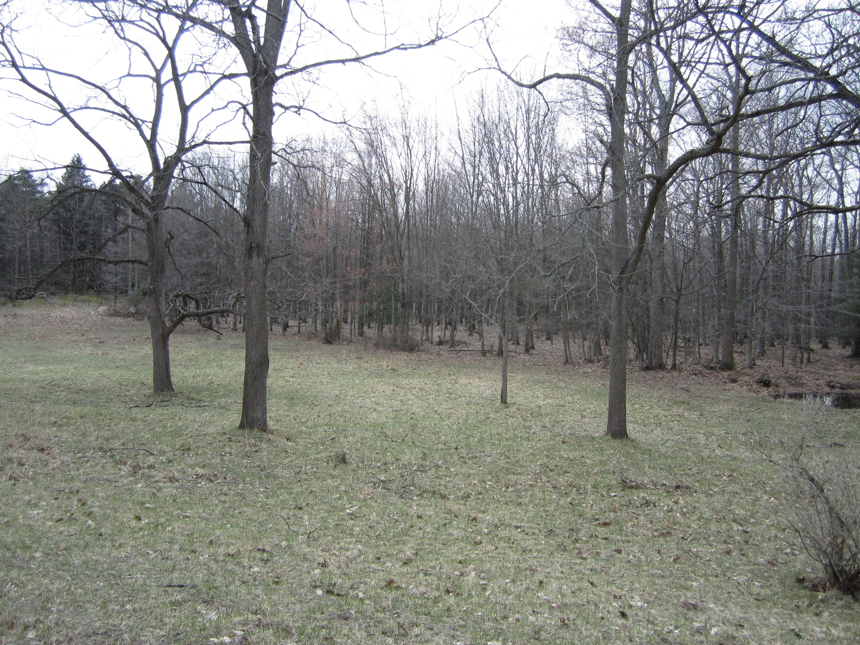 17078 Lake Michigan Drive Property Photo 41