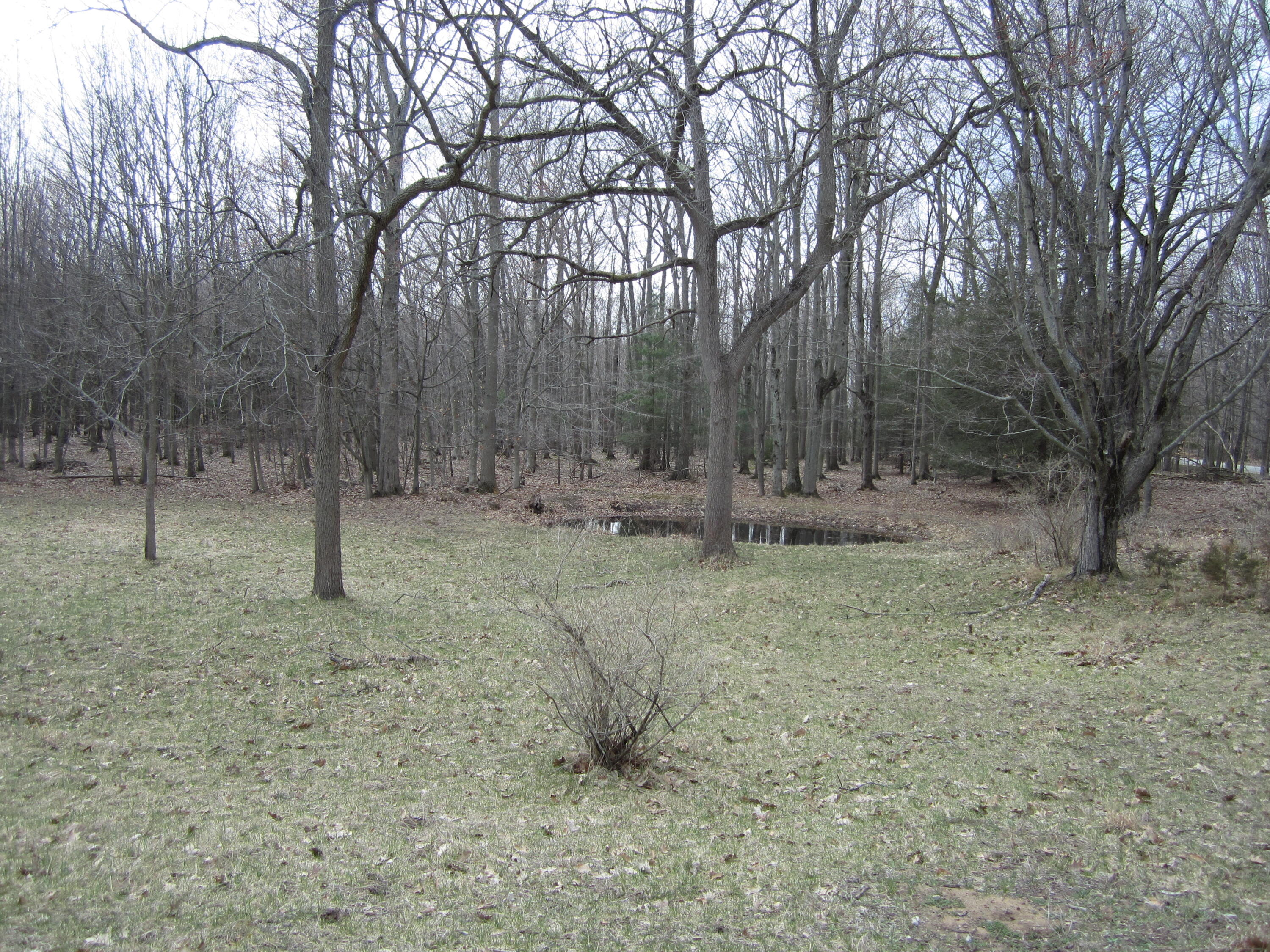 17078 Lake Michigan Drive Property Photo 42