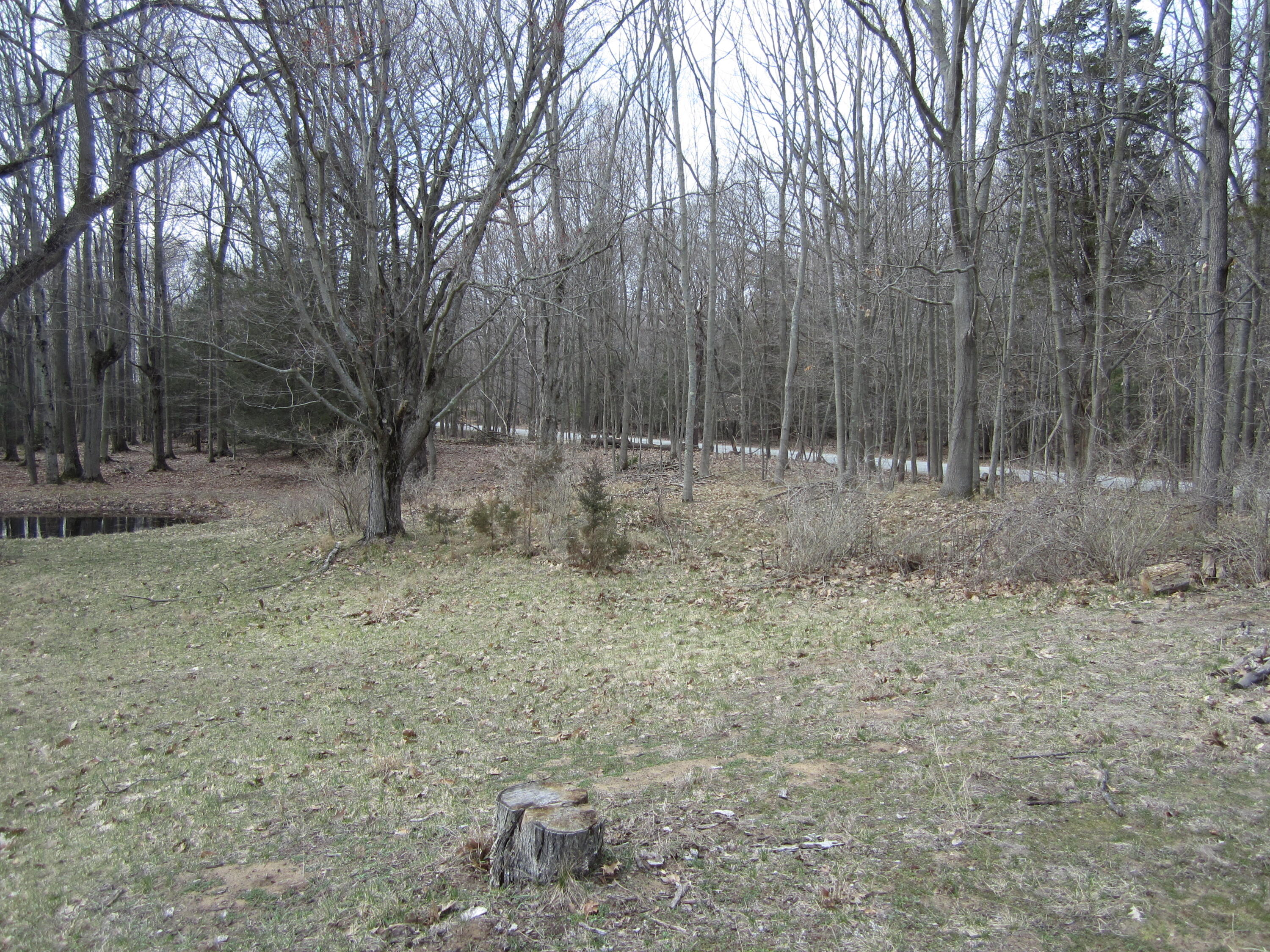 17078 Lake Michigan Drive Property Photo 43