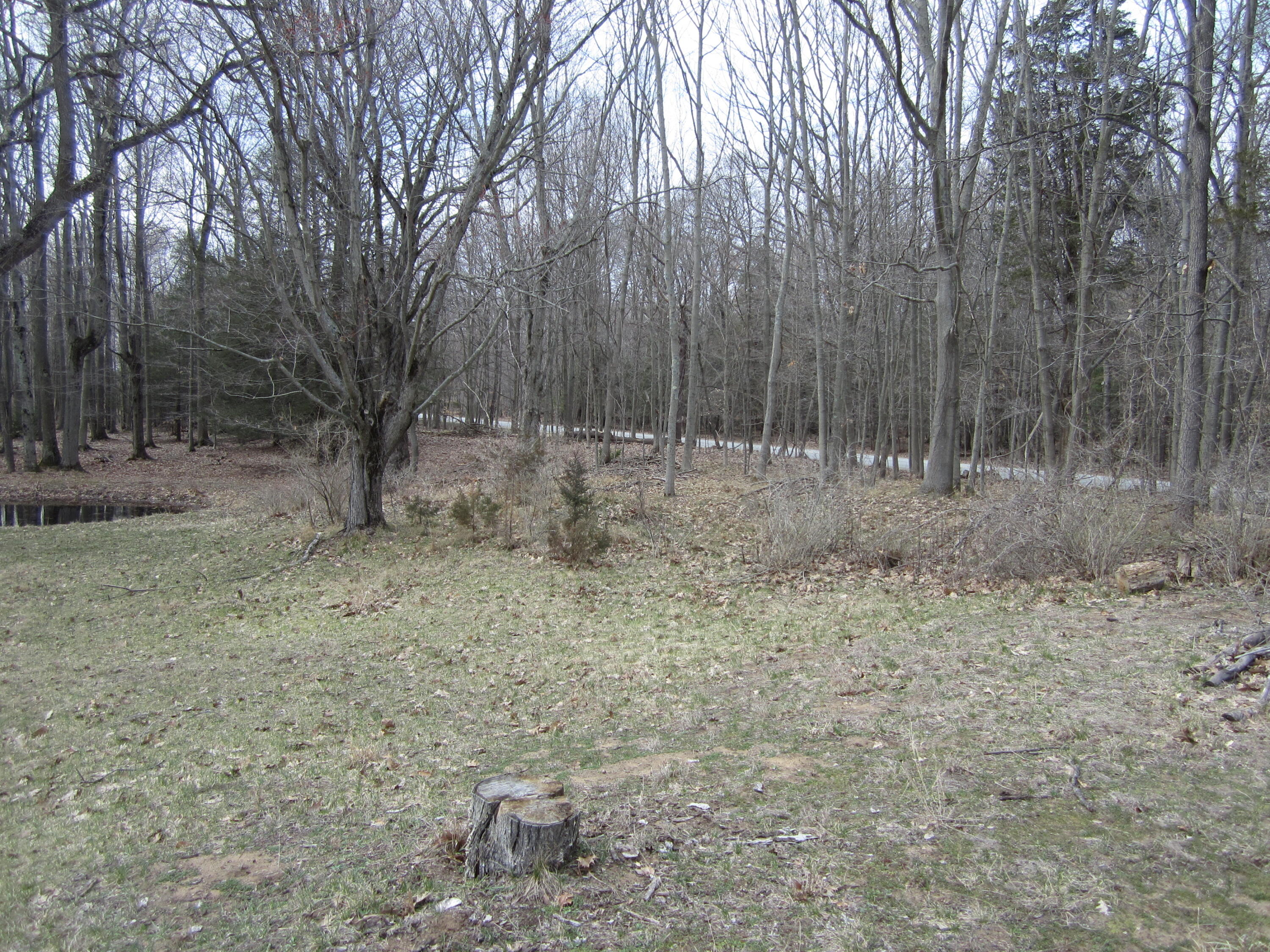 17078 Lake Michigan Drive Property Photo 44