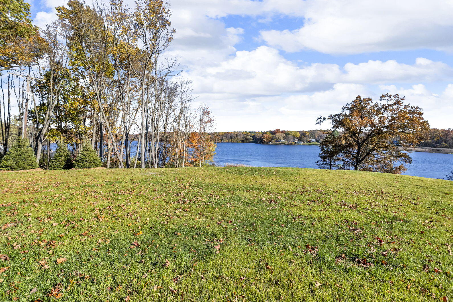 6503 Springbrook Road Property Photo 72