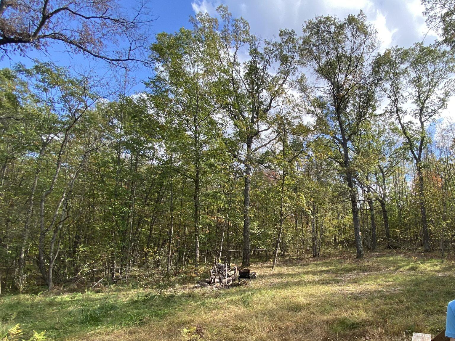 11643 N Willow Road Property Photo 2