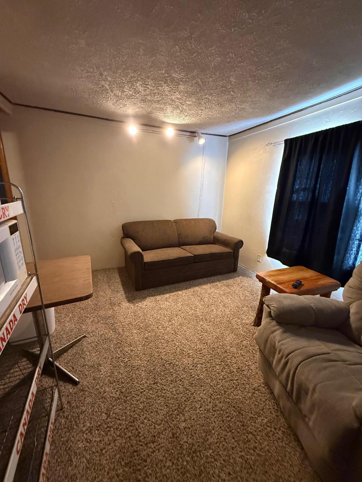 28981 W M-28 Property Photo 9