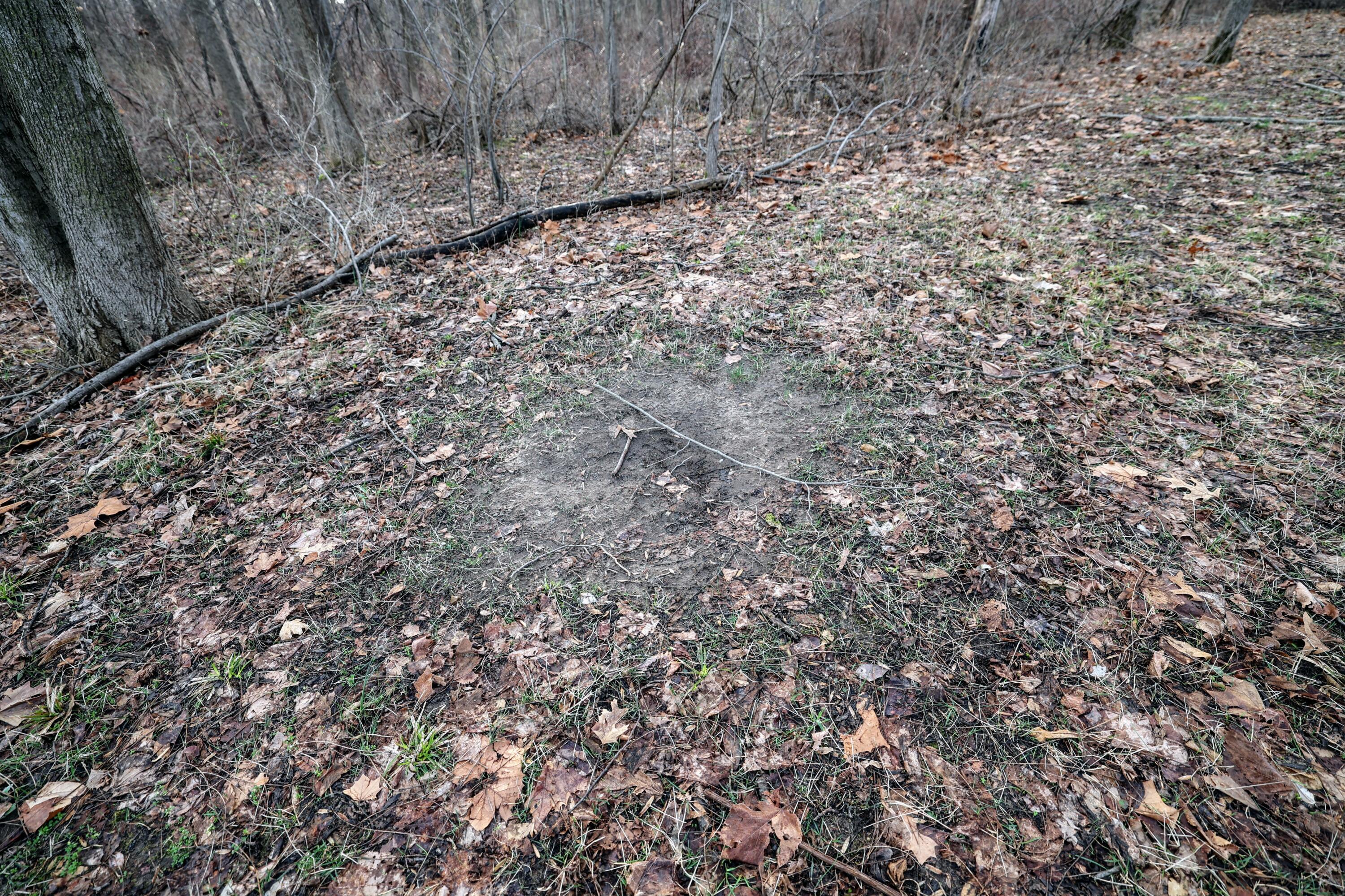 Vl W Glendora Road Property Photo 33
