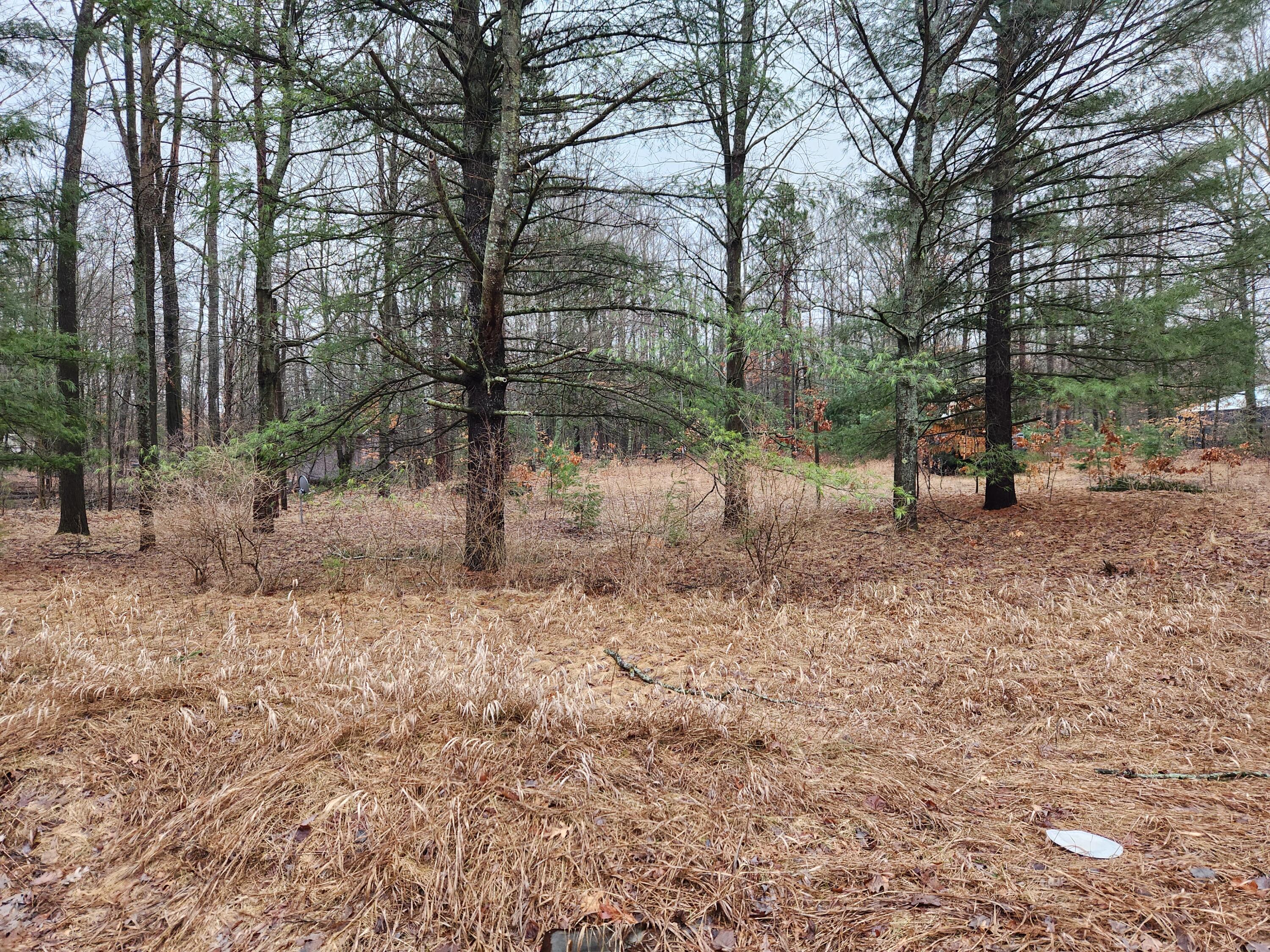 8071 Rolling Drive Property Photo 1