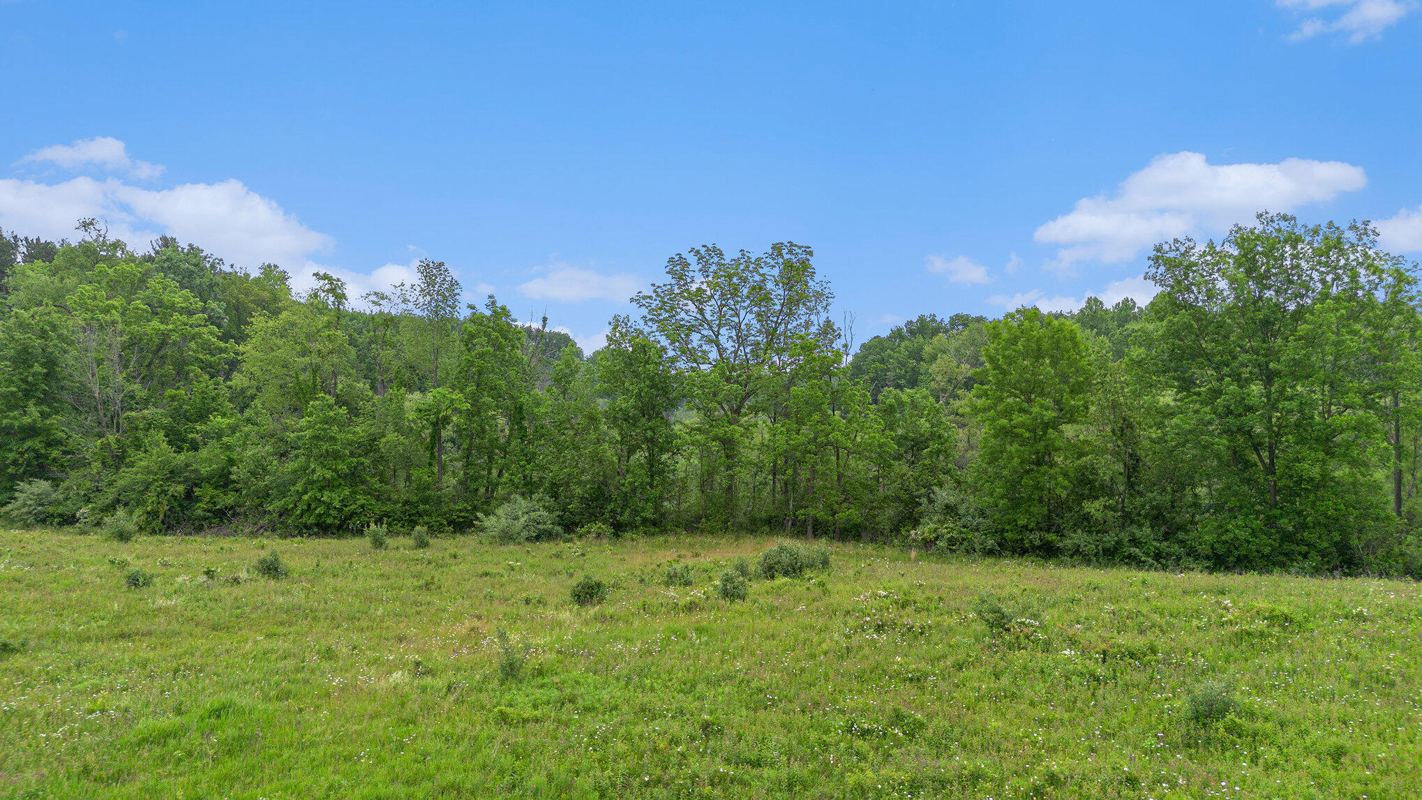 0 E Clear Lake Road Property Photo 4