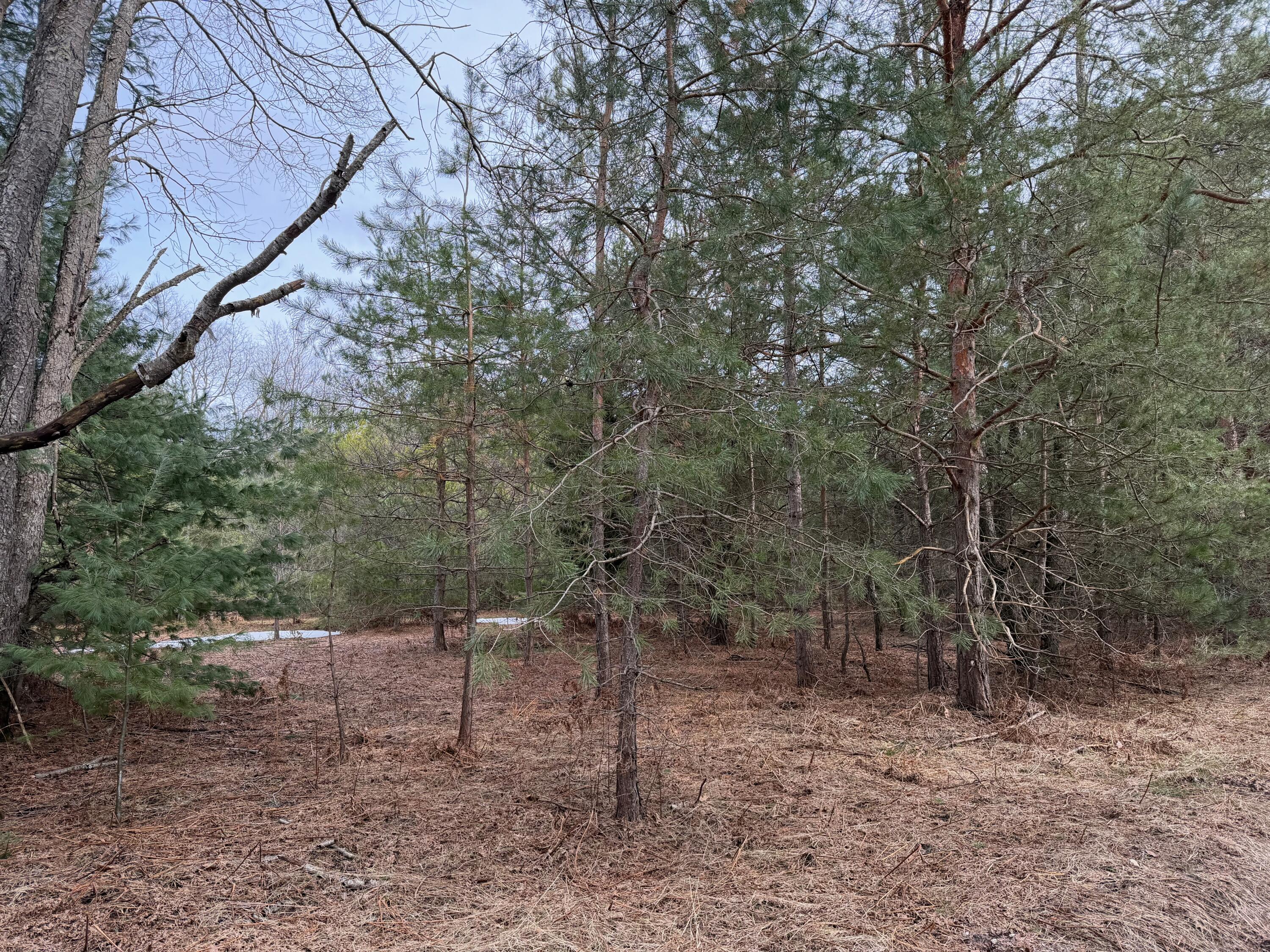 Pihl Road Property Photo 1