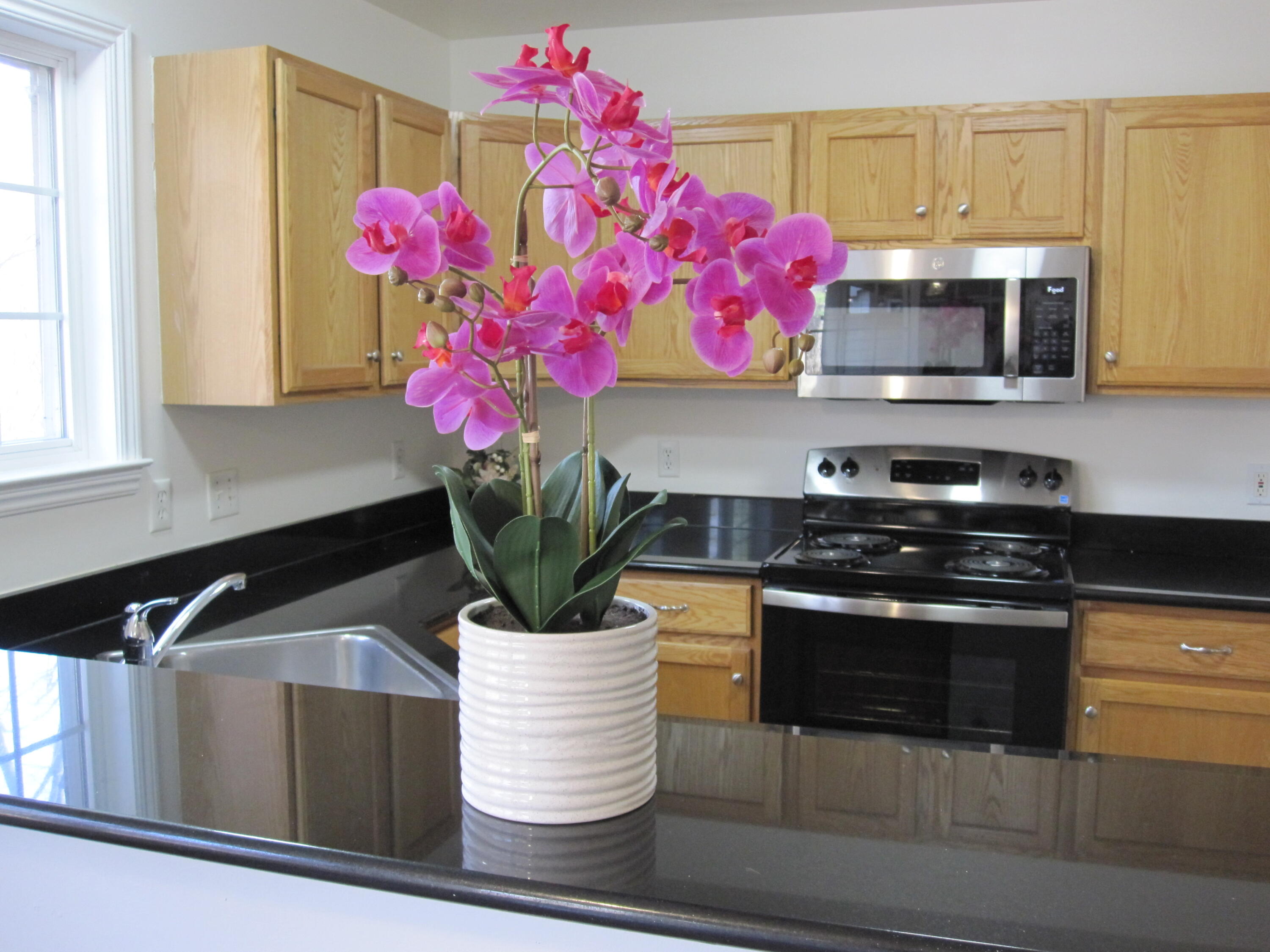 3055 Barclay Way Property Photo 6