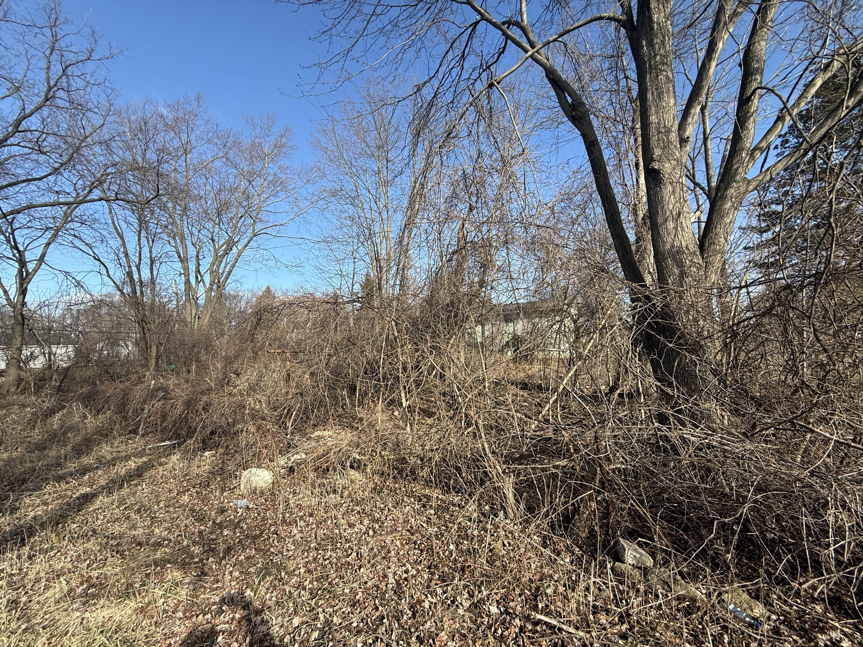358 Arcola Street Property Photo 3